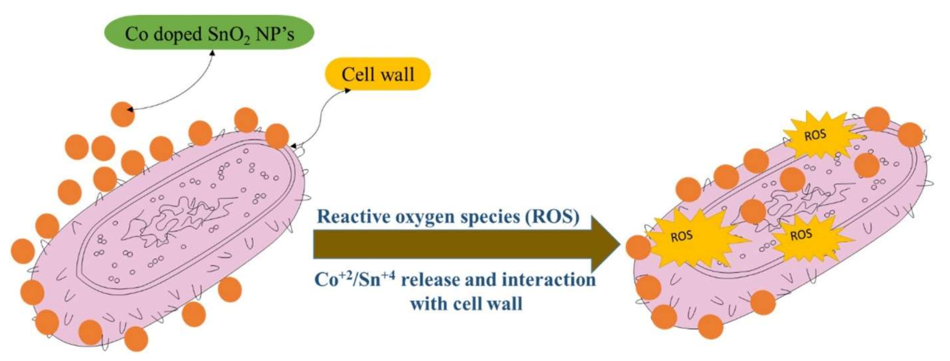 Solids 03 00024 g015