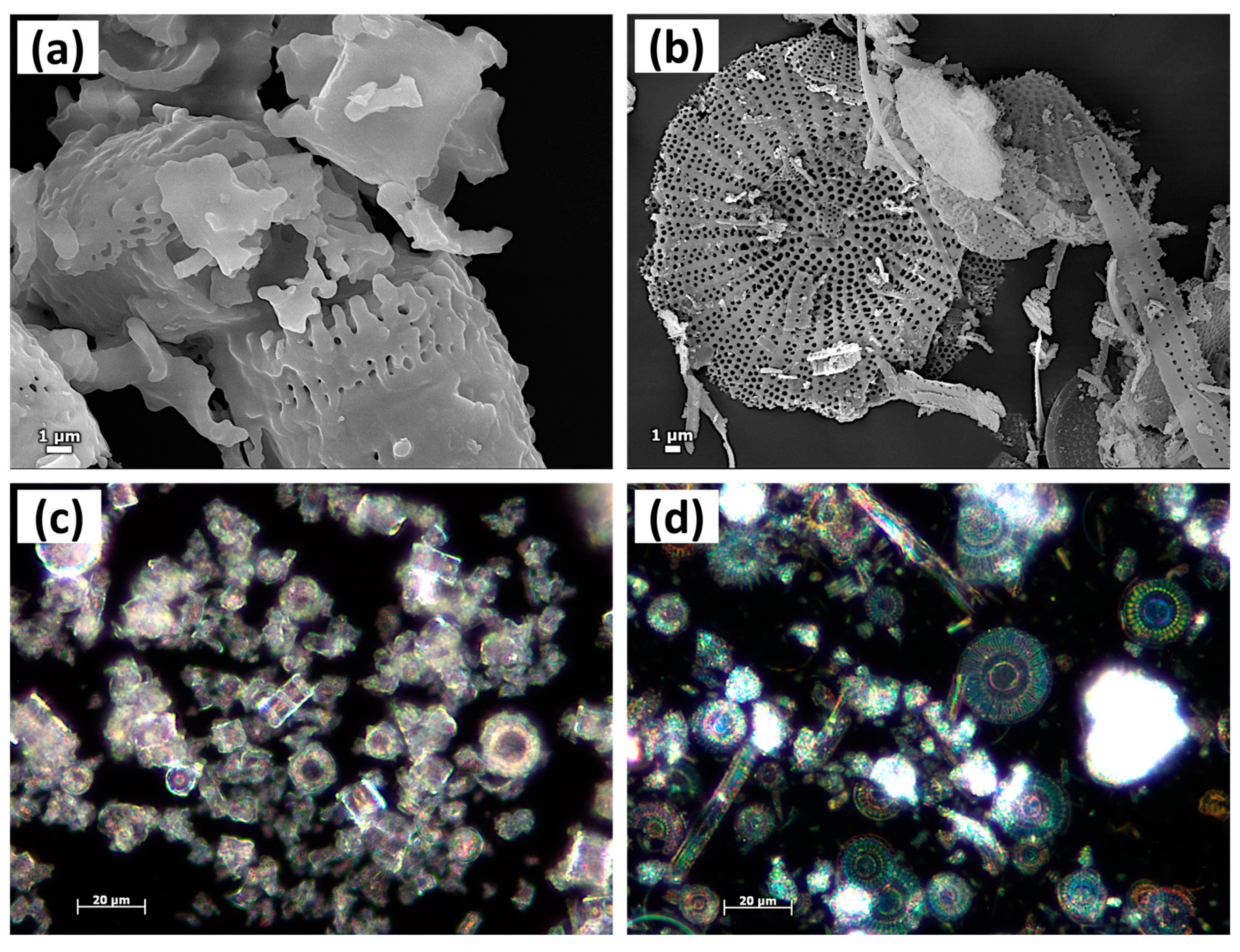 Solids 04 00001 g012