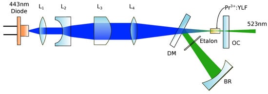 The original laser line as resolved by the prism spectrometer