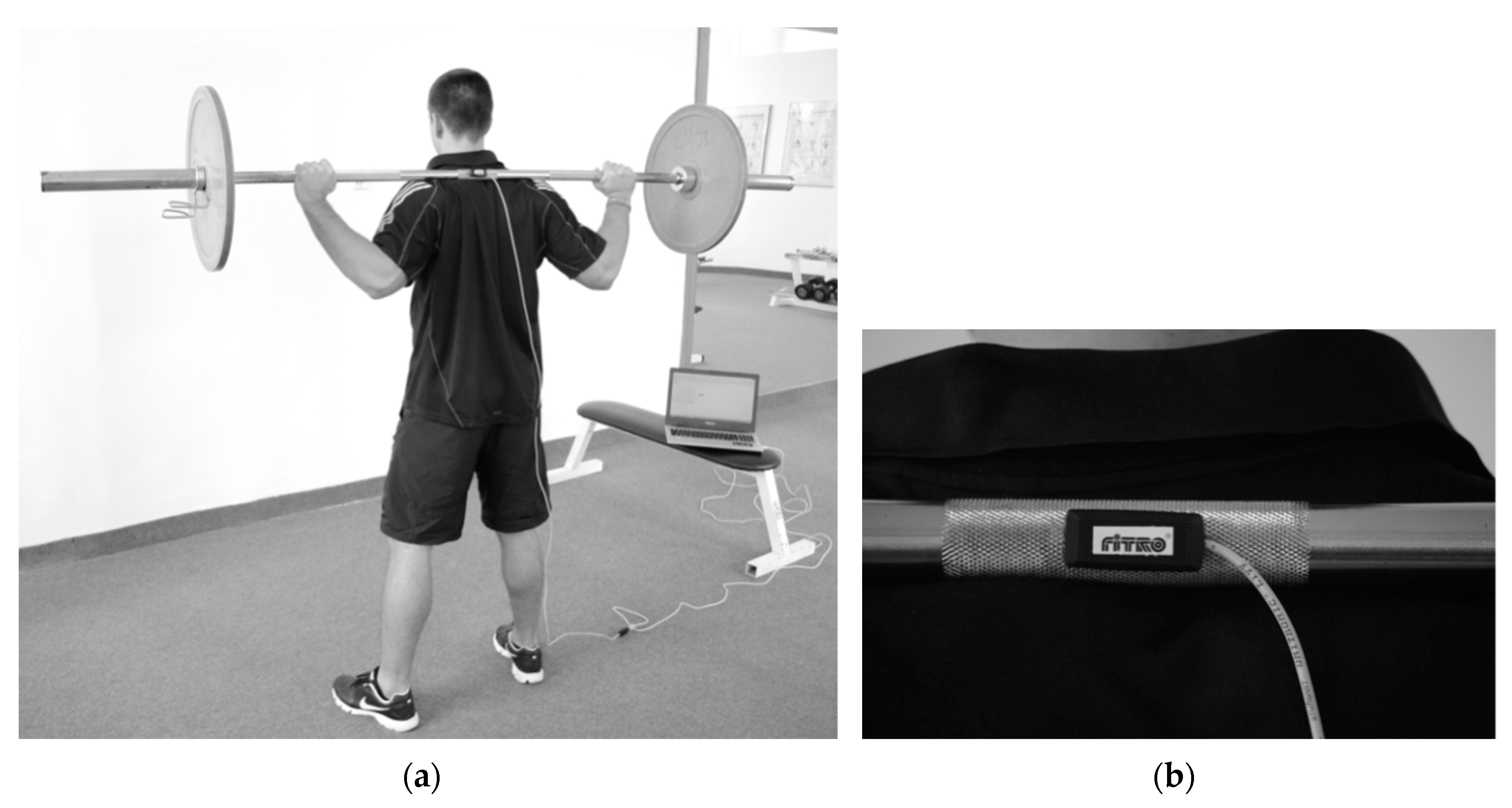 Sports Free Full Text The Effect Of Training In The Preparatory And Competitive Periods On Trunk Rotational Power In Canoeists Ice Hockey Players And Tennis Players Html