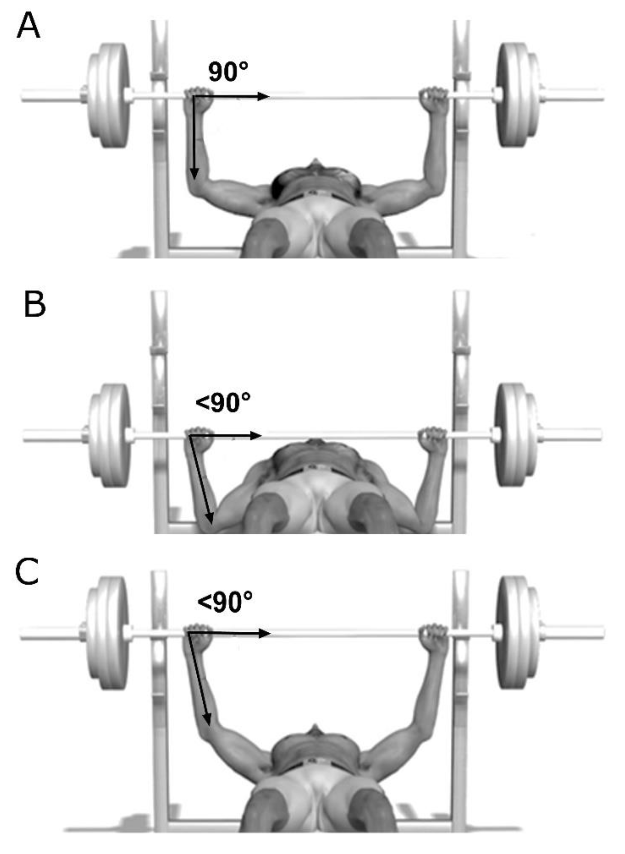 Sports | Free Full-Text | Muscle Activation in Traditional and Experimental  Barbell Bench Press Exercise: A Potential New Tool for Fitness Maintenance  | HTML