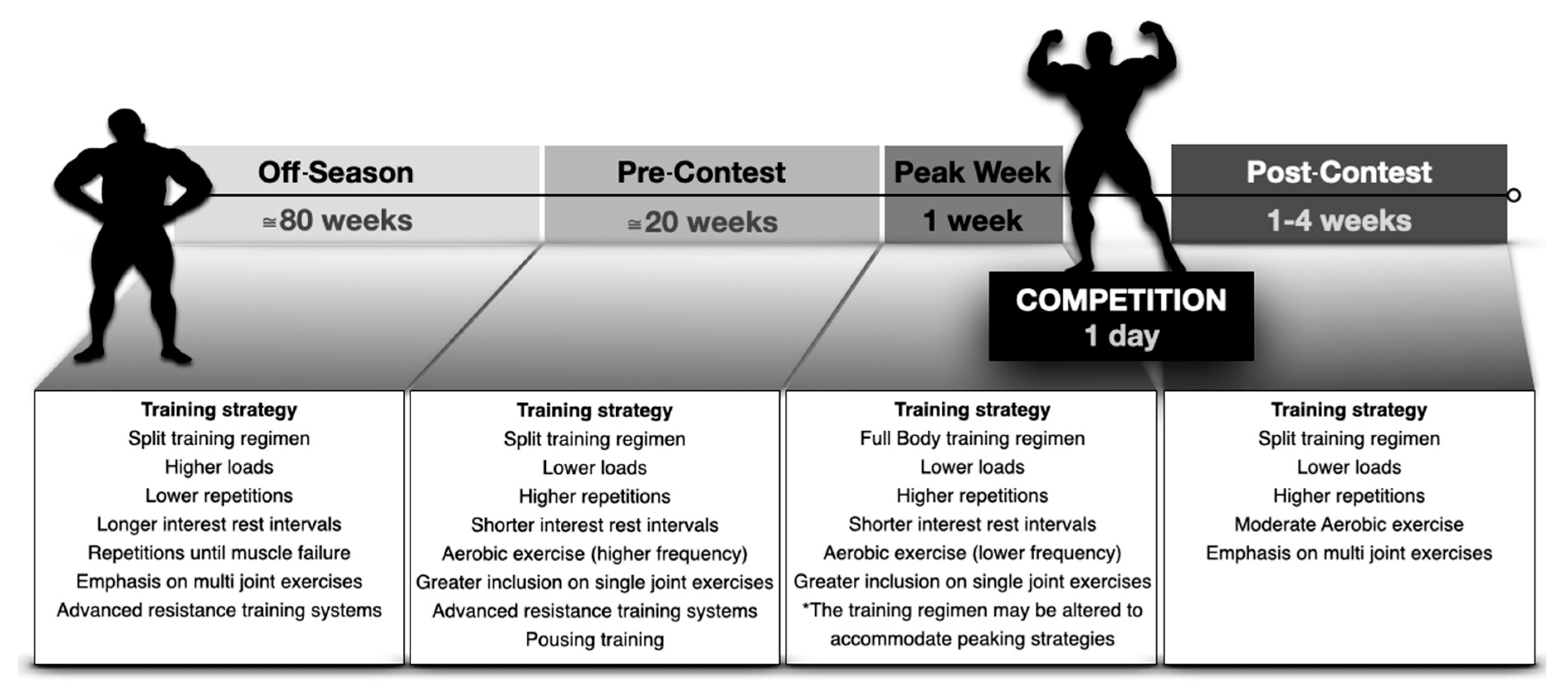 bodybuilding nutrition pyramid