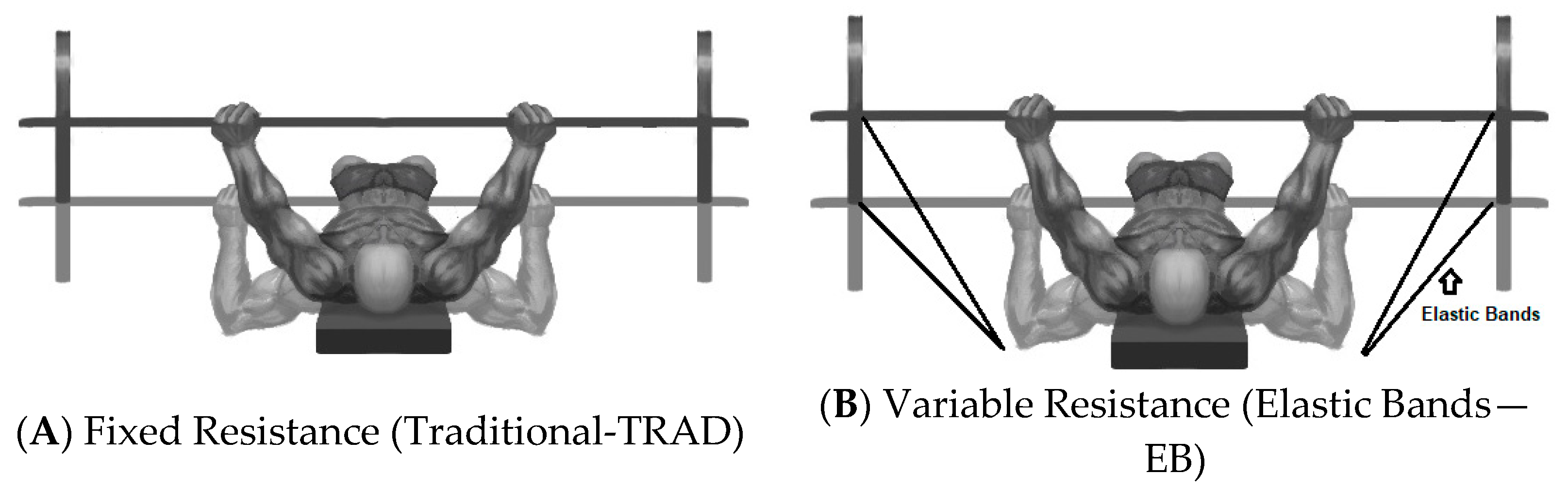Sports 09 00142 g002