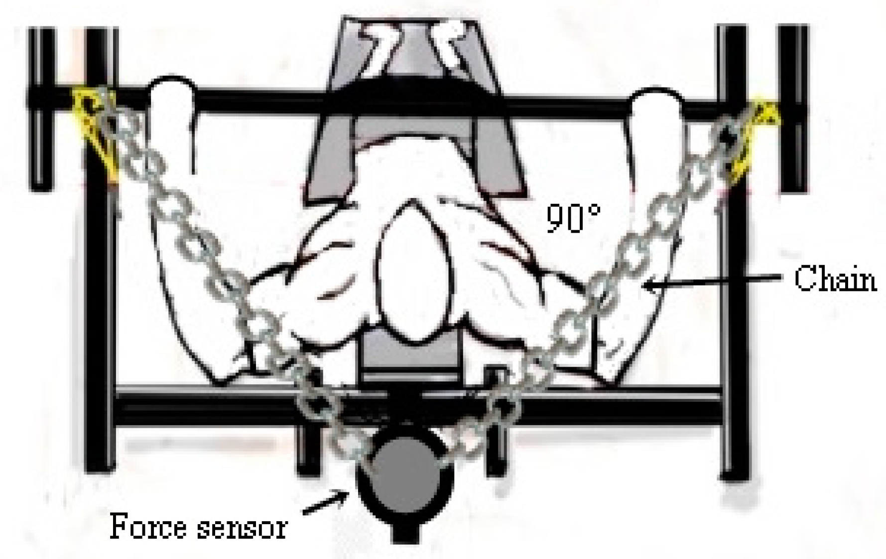 Sports 09 00142 g003