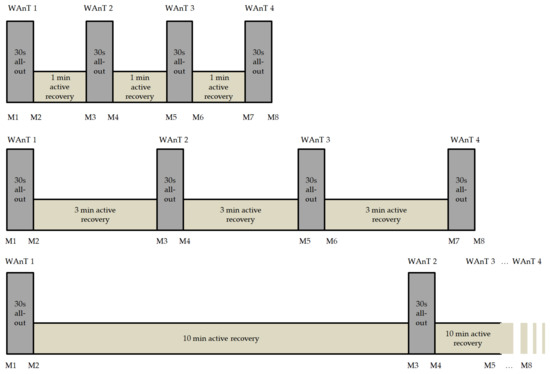 Three types of Masters Athletes – Human Kinetics