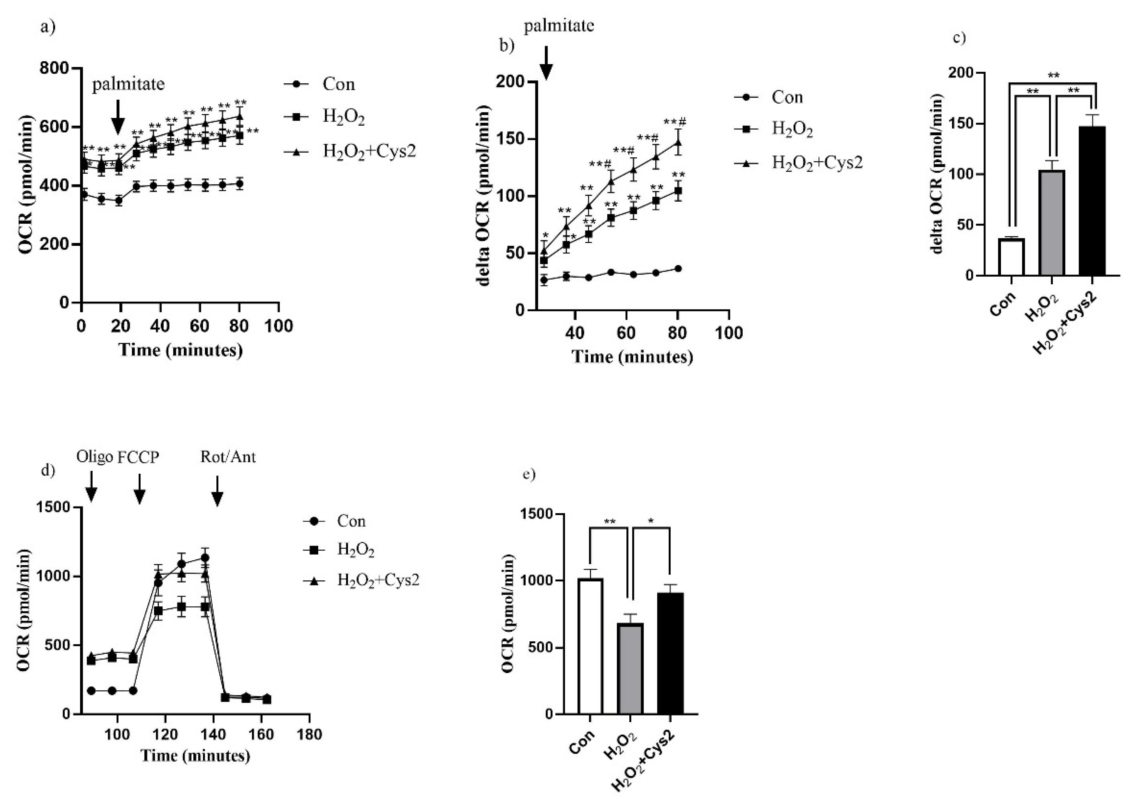 Sports 10 00147 g004