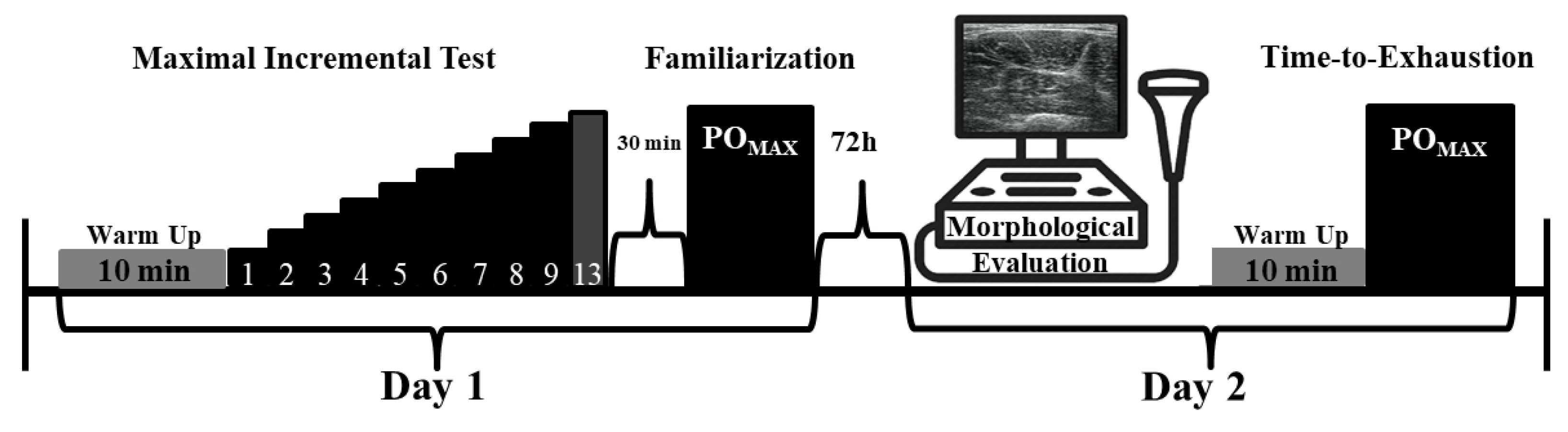 Sports 11 00022 g001 Sports 11 00022 g001