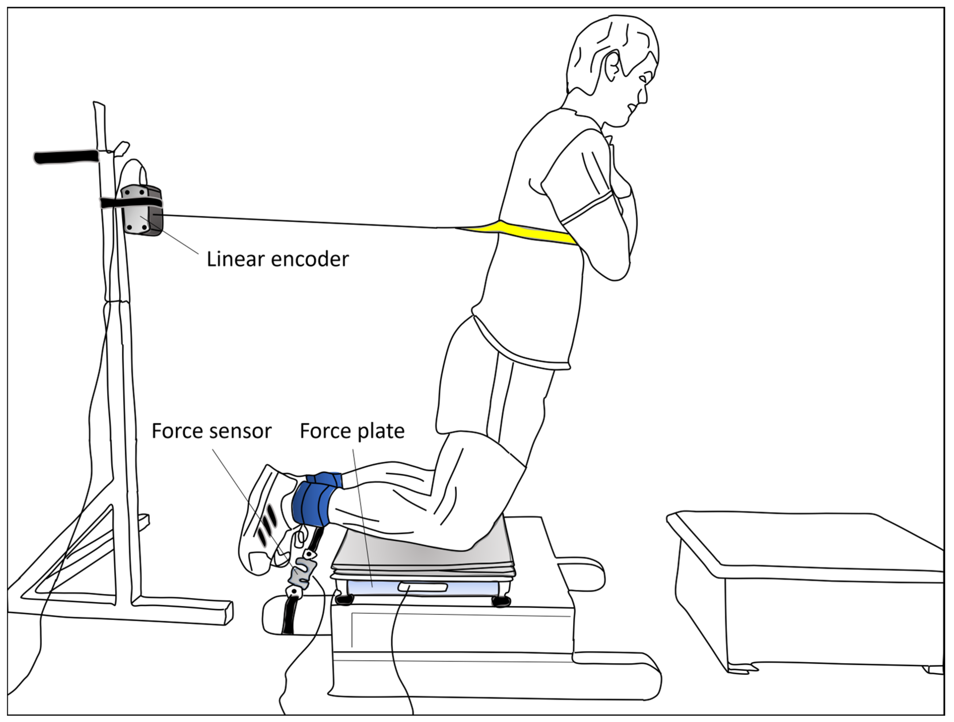 Sports | Free Full-Text | Differences in Peak Knee Flexor Force between  Eccentric-Only and Combined Eccentric-Concentric Nordic Hamstring Exercise