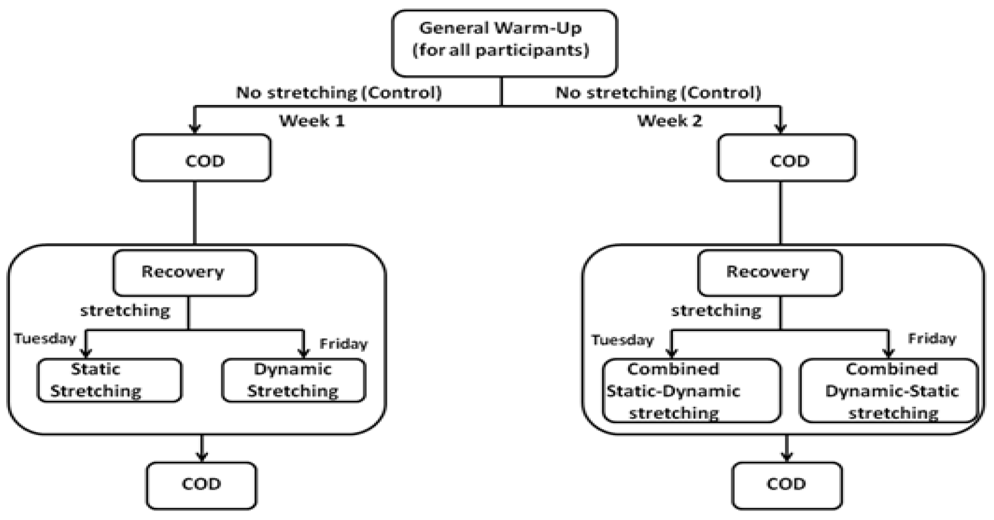 Football/Soccer: Dynamic Stretch (Warm-ups, Moderate)