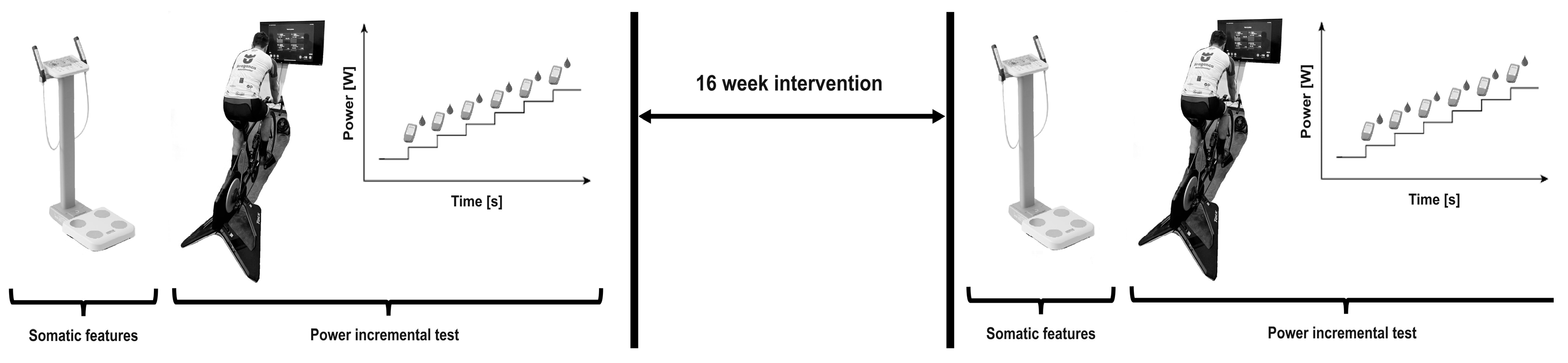 Sports 12 00017 g001