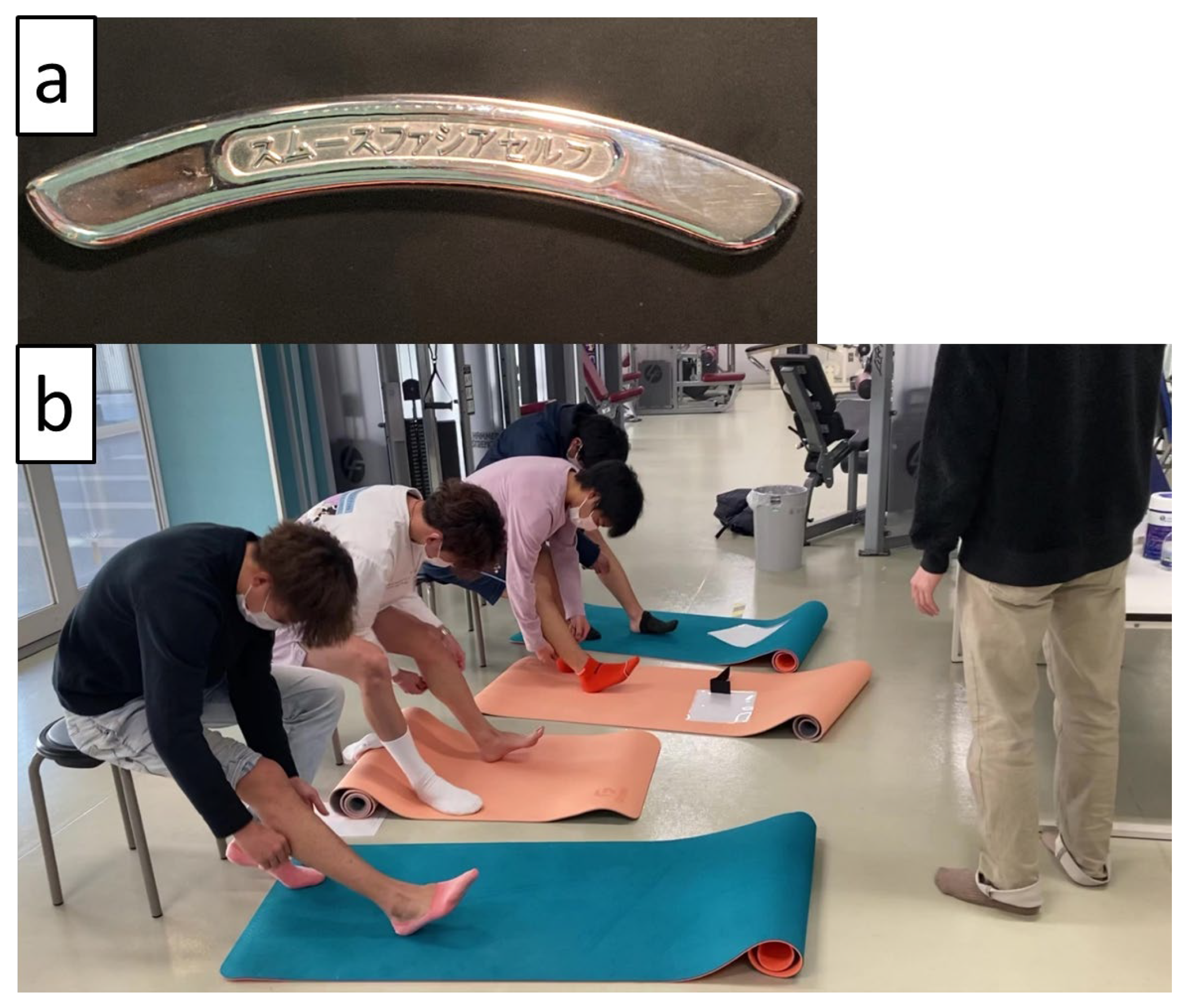 Sports 12 00150 g001