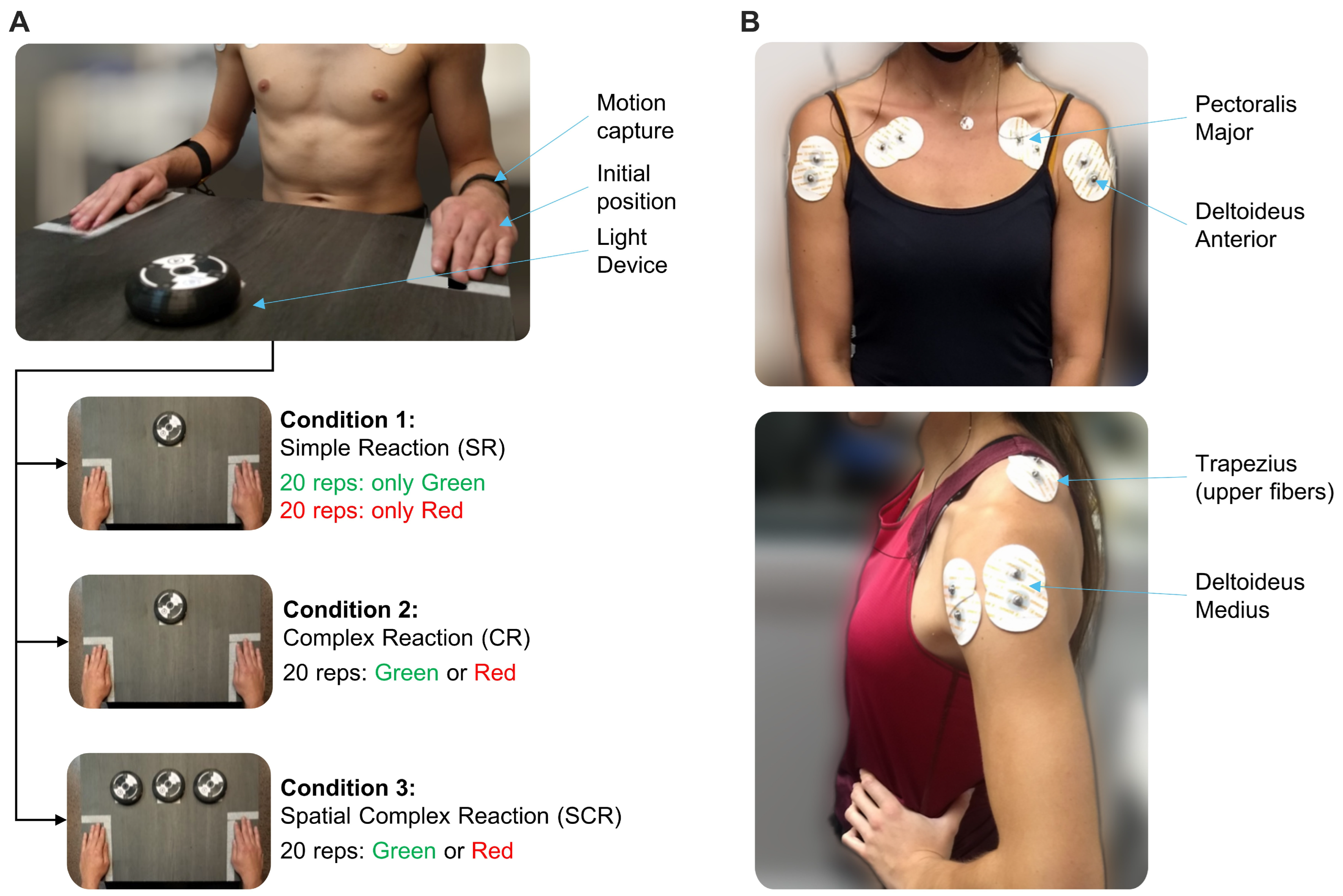 Sports 12 00151 g001