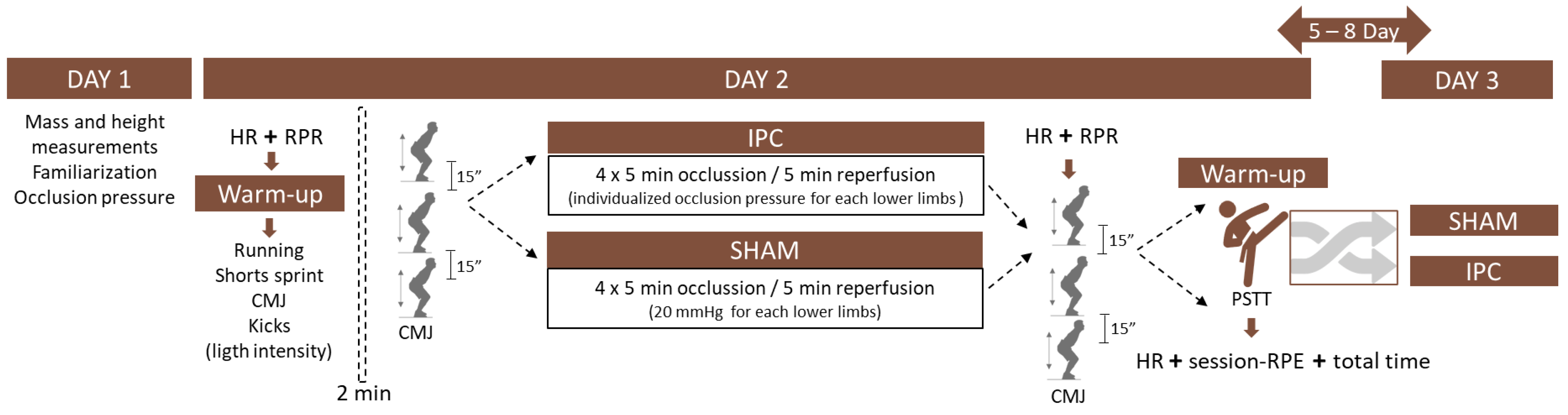 Sports 12 00179 g001