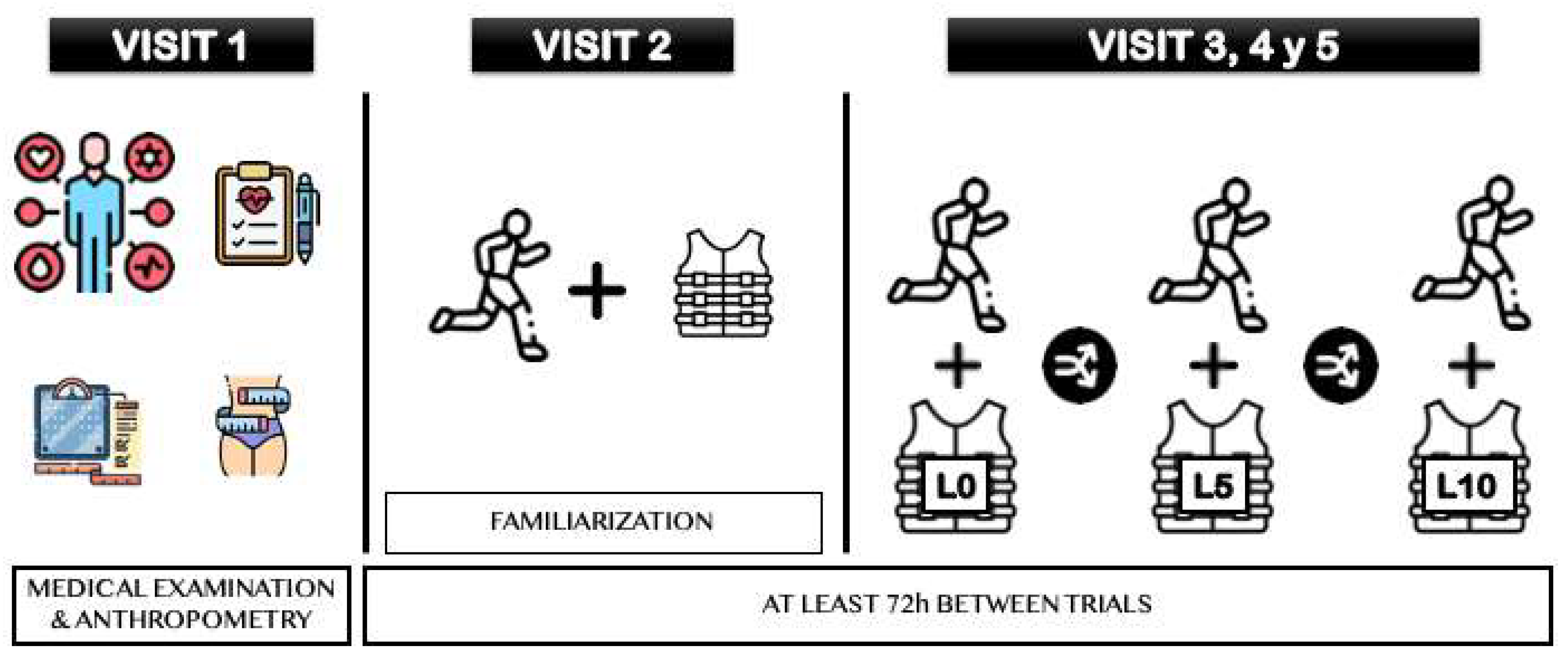 Sports 12 00189 g001