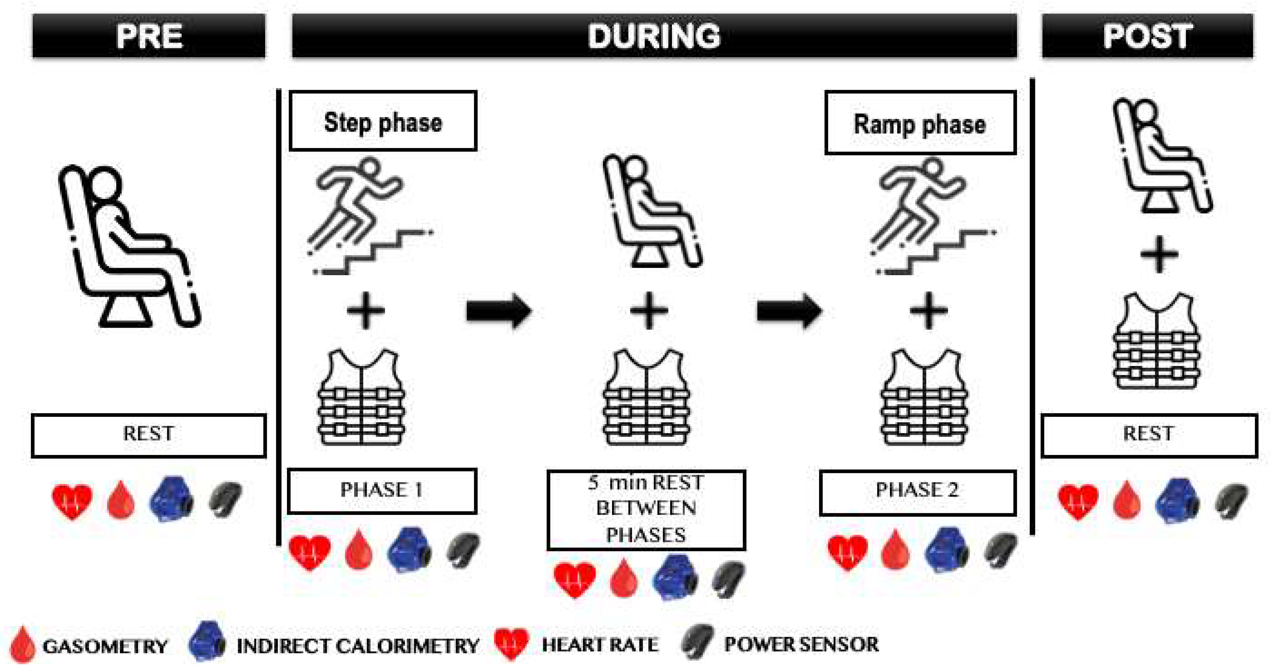 Sports 12 00189 g002