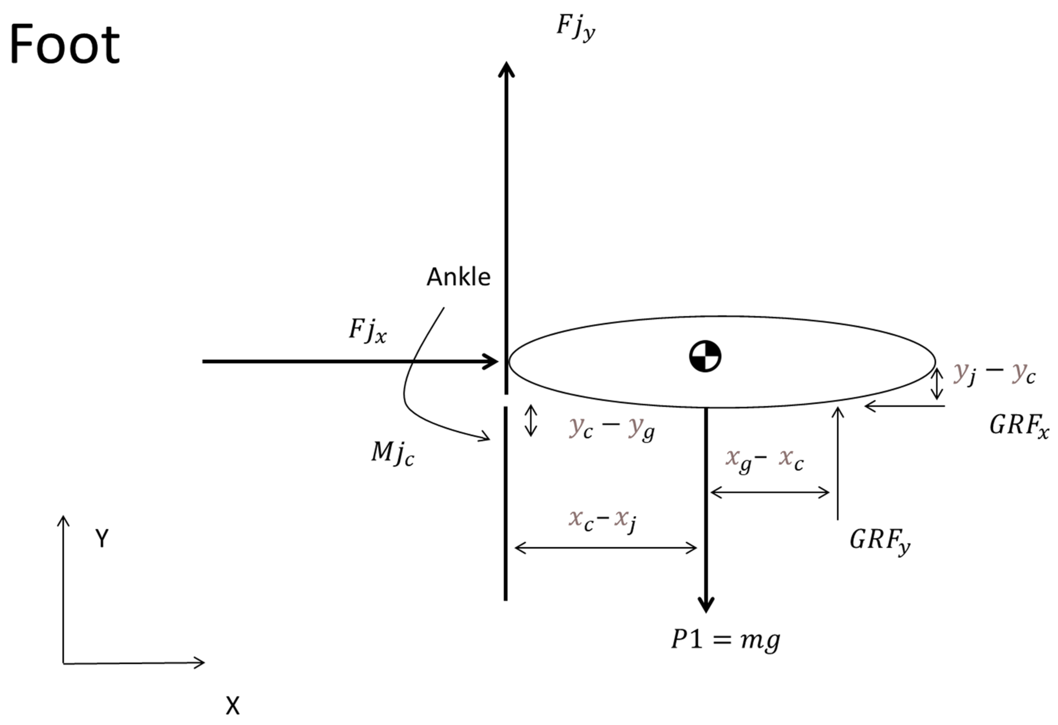 Sports 12 00317 g006 Sports 12 00317 g006