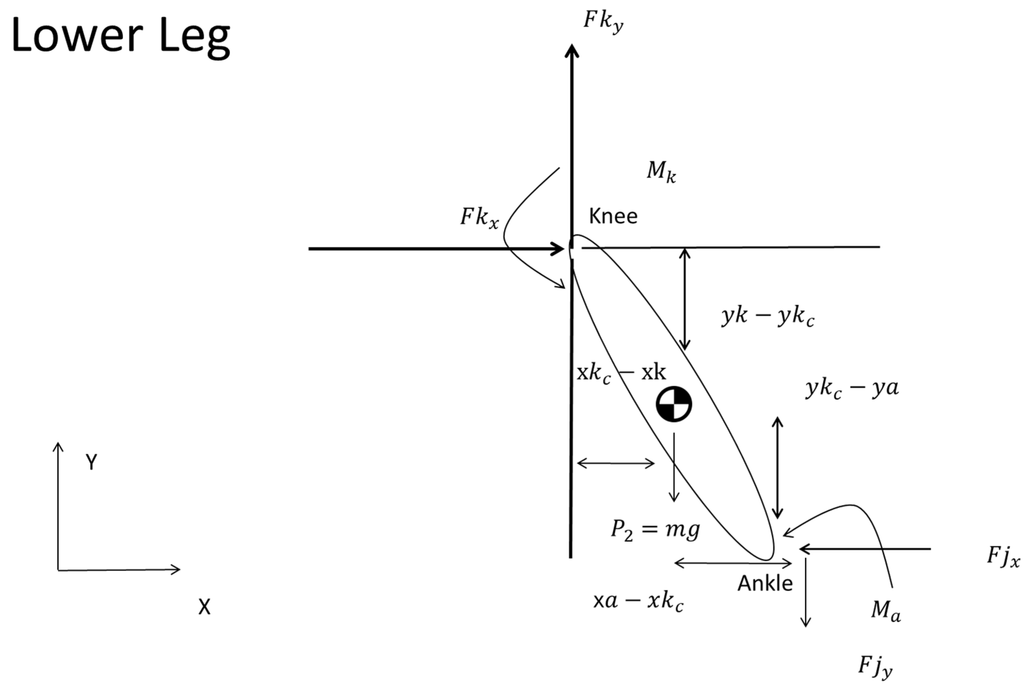 Sports 12 00317 g007 Sports 12 00317 g007