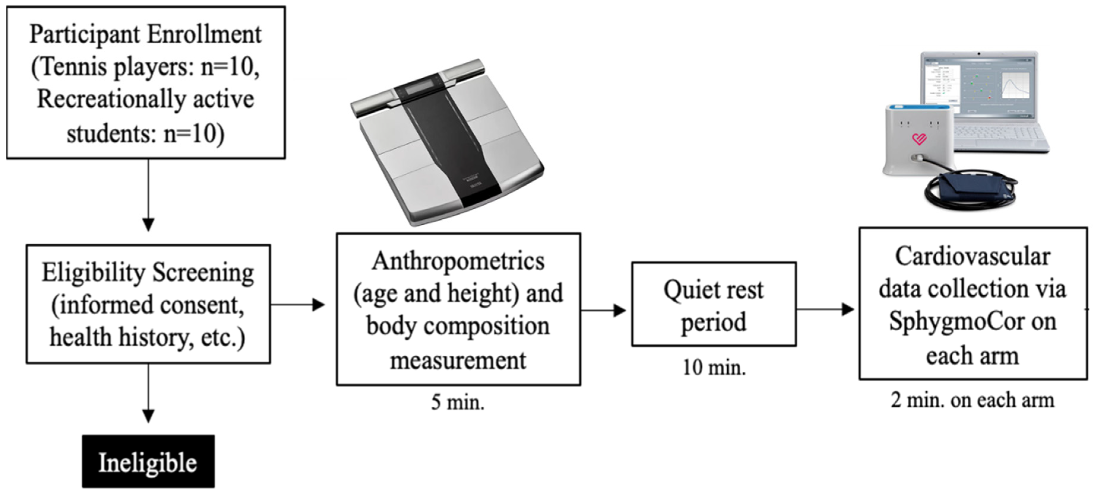 Sports 13 00107 g001