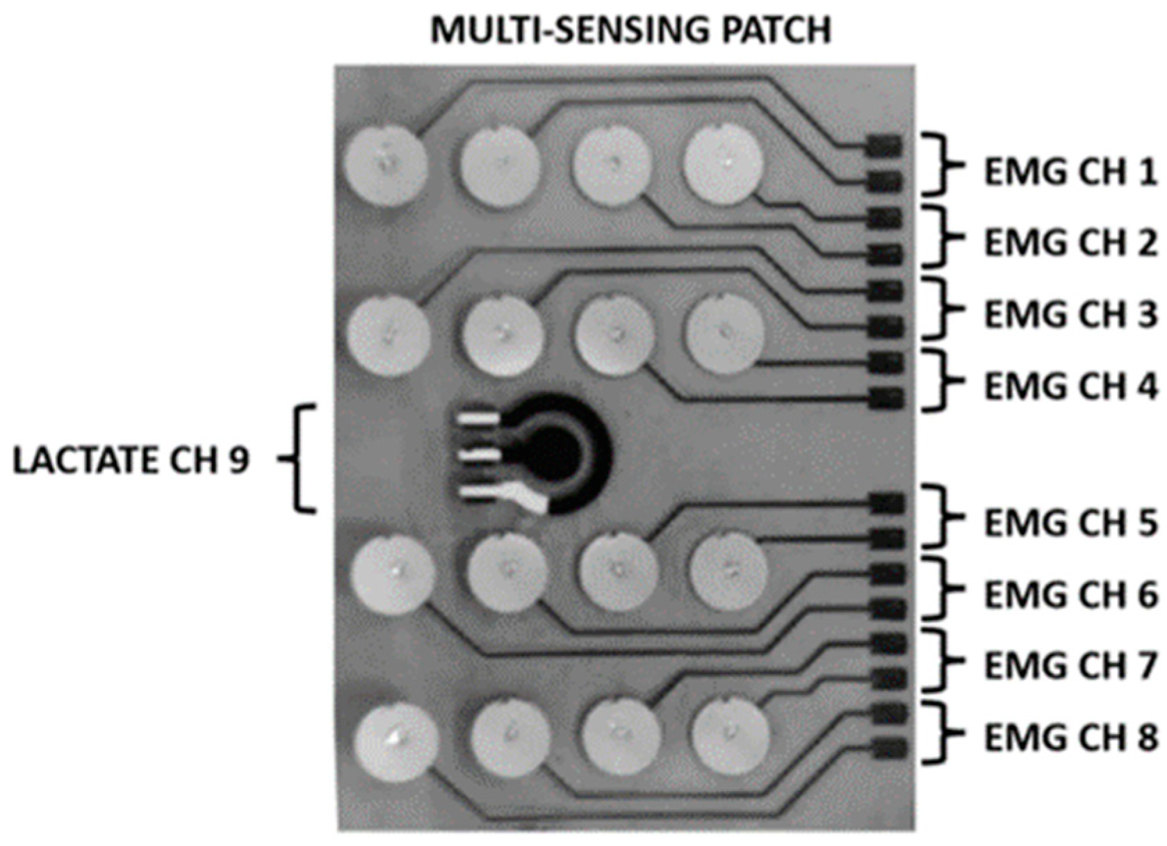 Standards Free Full Text Wearable Biosensor Standardization