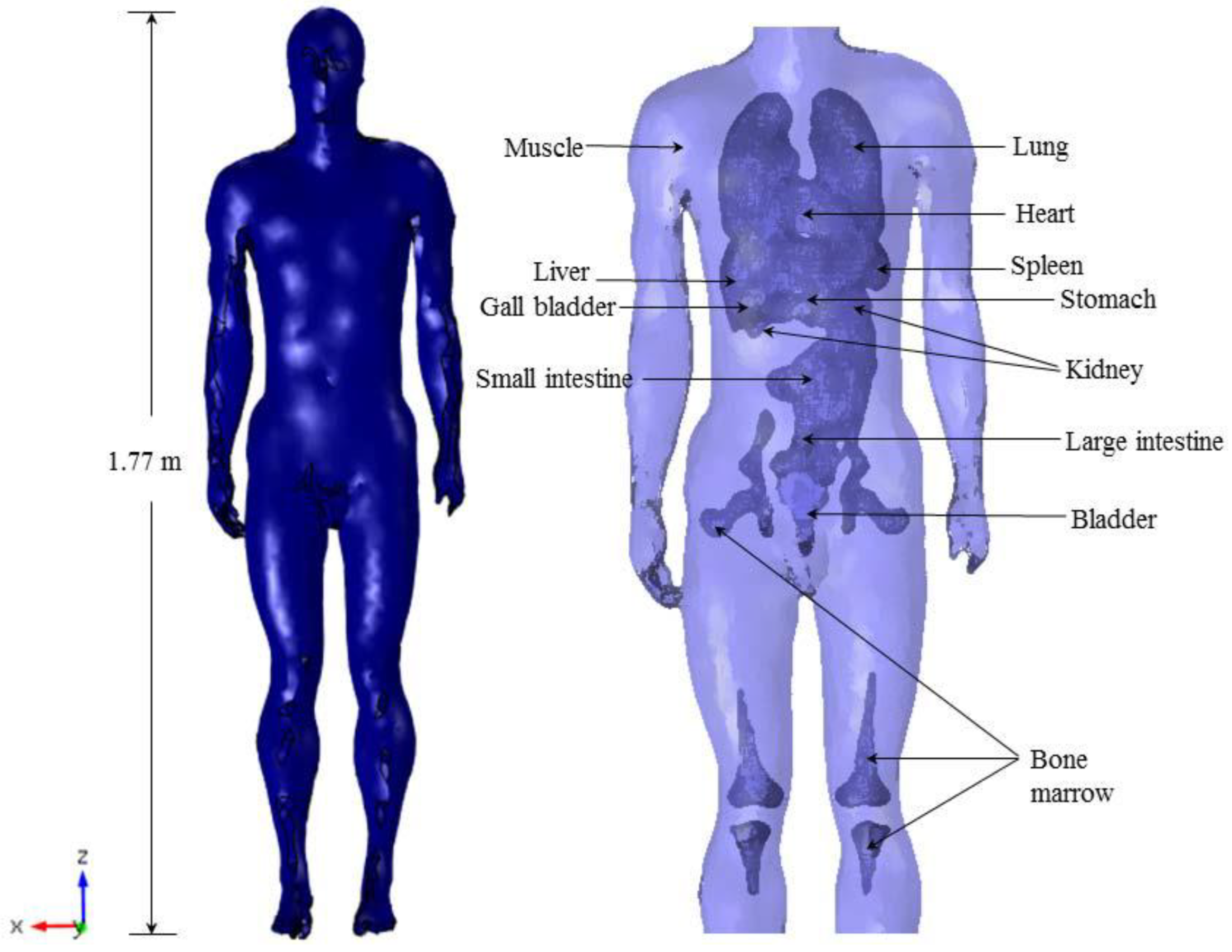 Level 2 Bioelectric EMF Shield