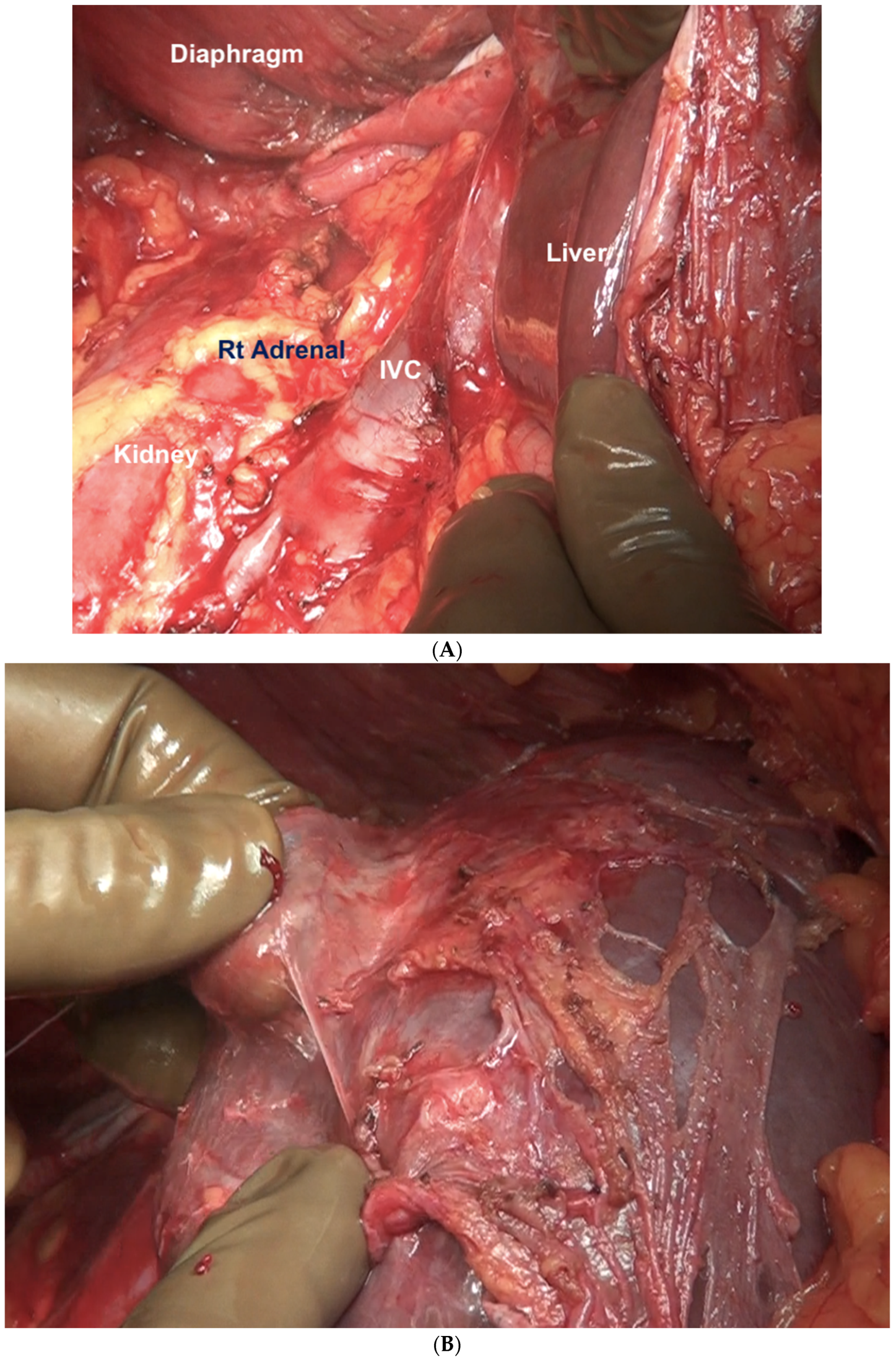 Std 12 00001 g006 Std 12 00001 g006