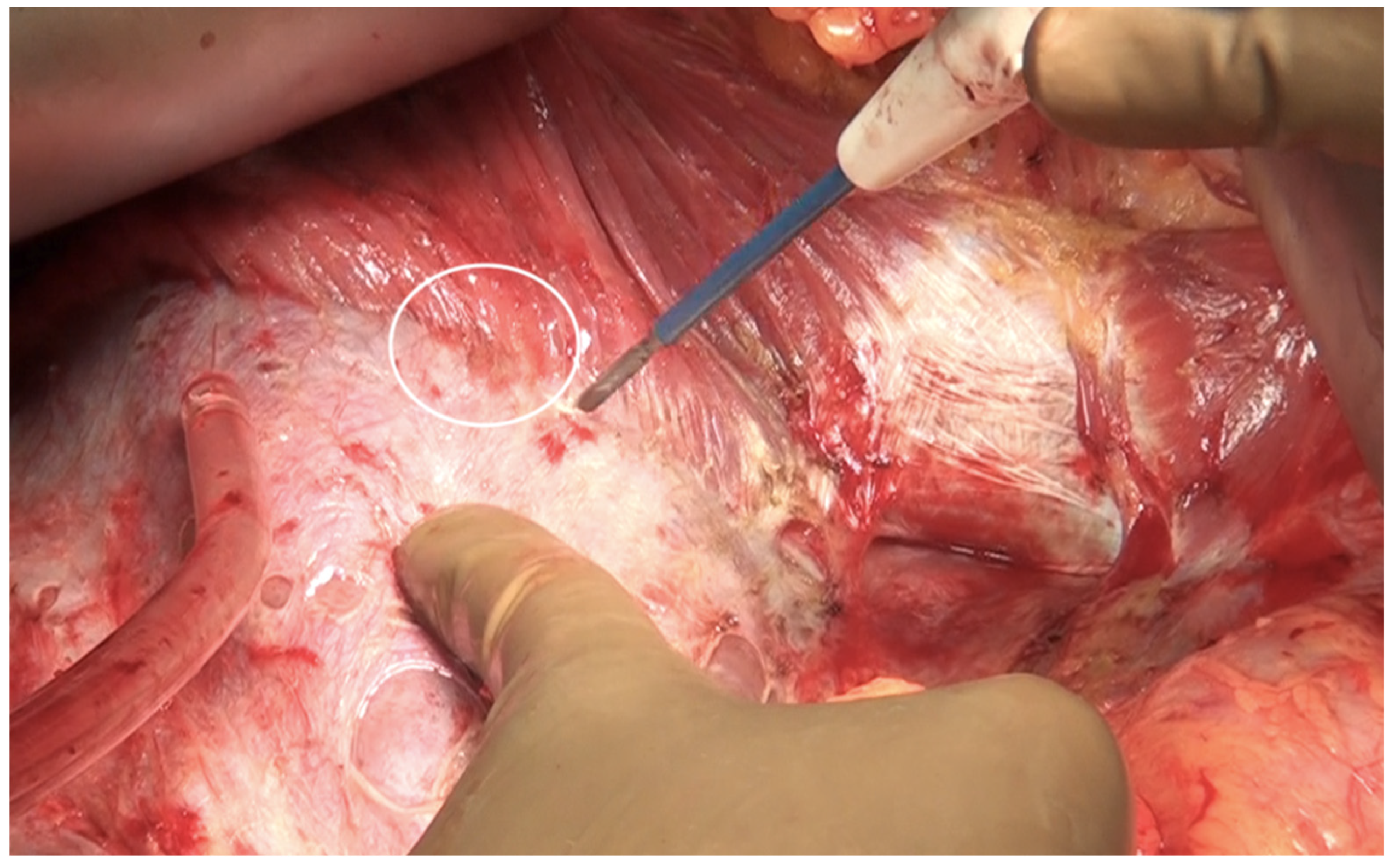 Std 12 00001 g009 Std 12 00001 g009