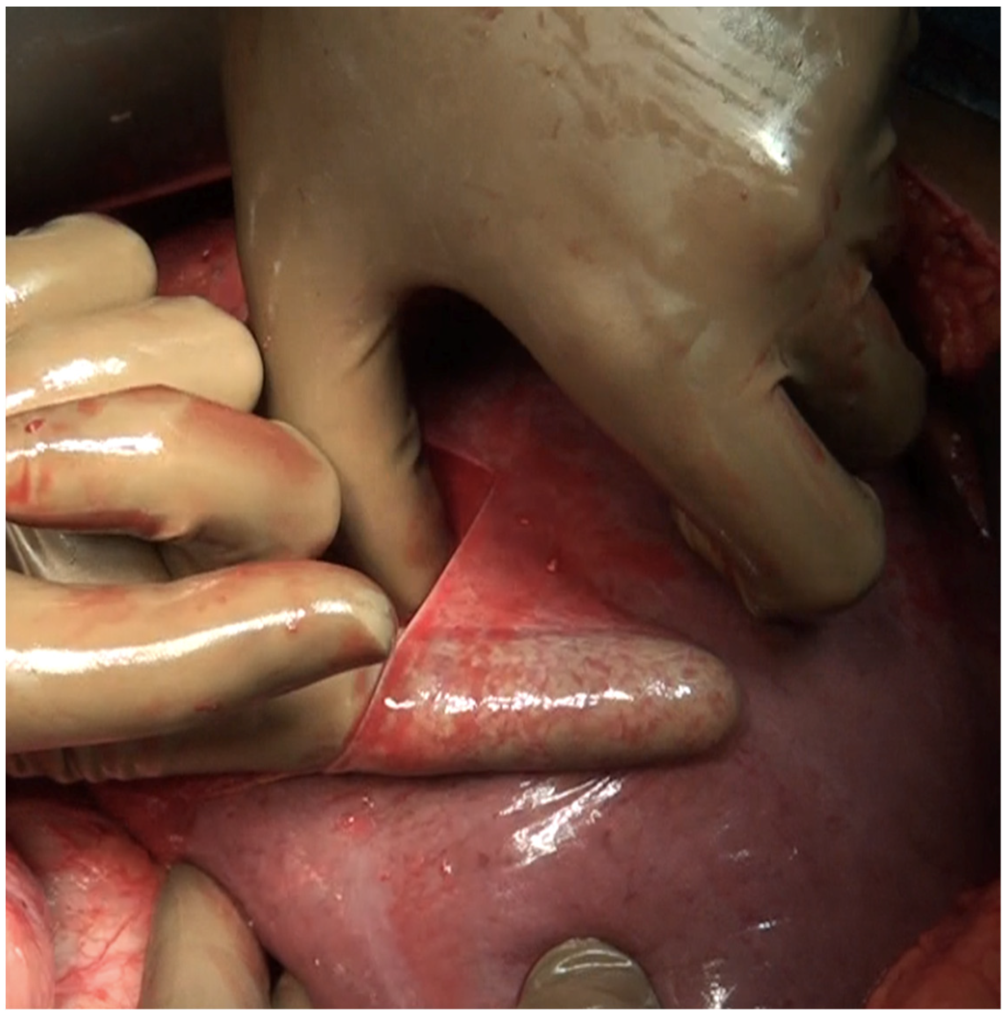 Std 12 00001 g014 Std 12 00001 g014