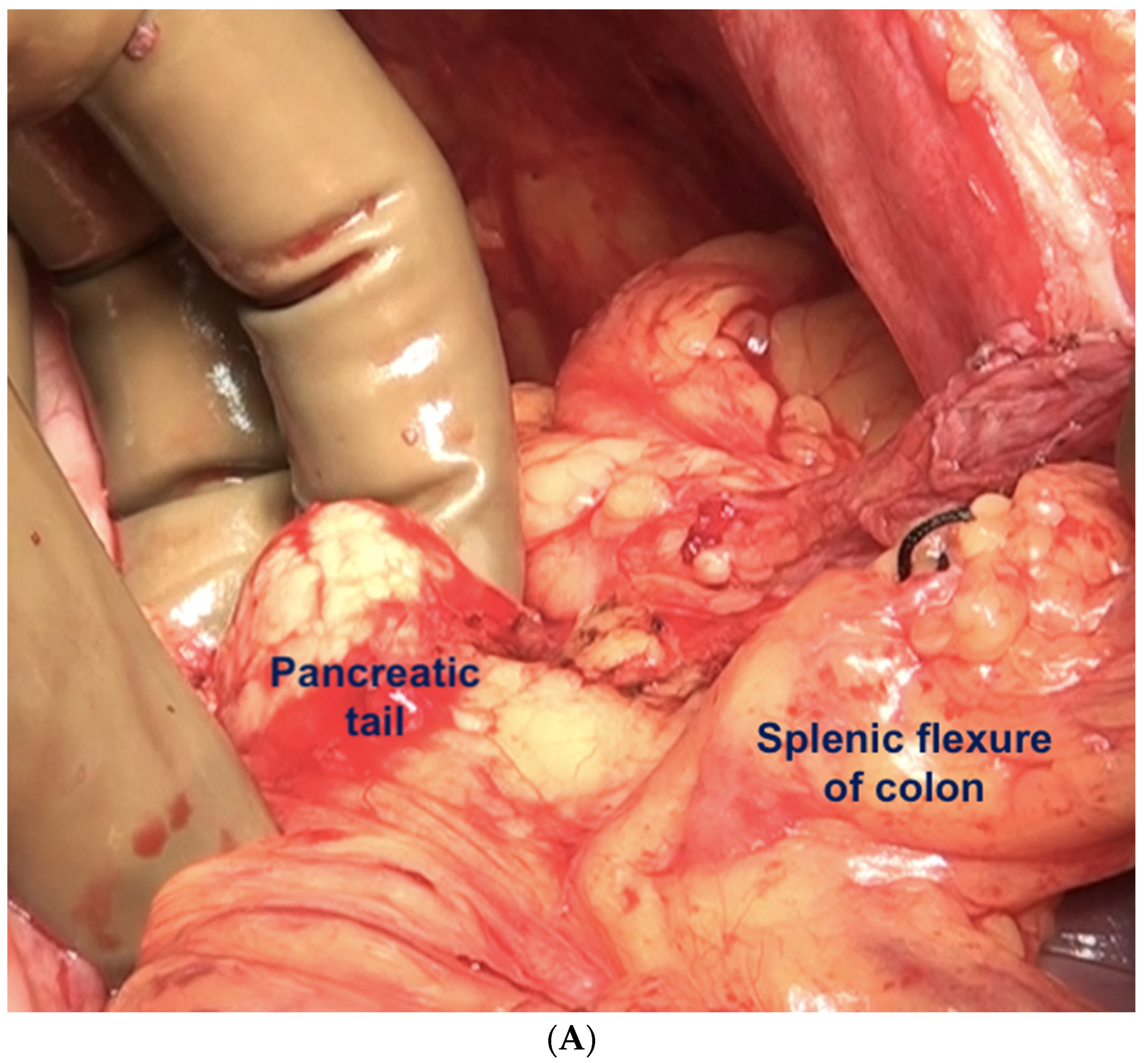 Std 12 00001 g019a Std 12 00001 g019a