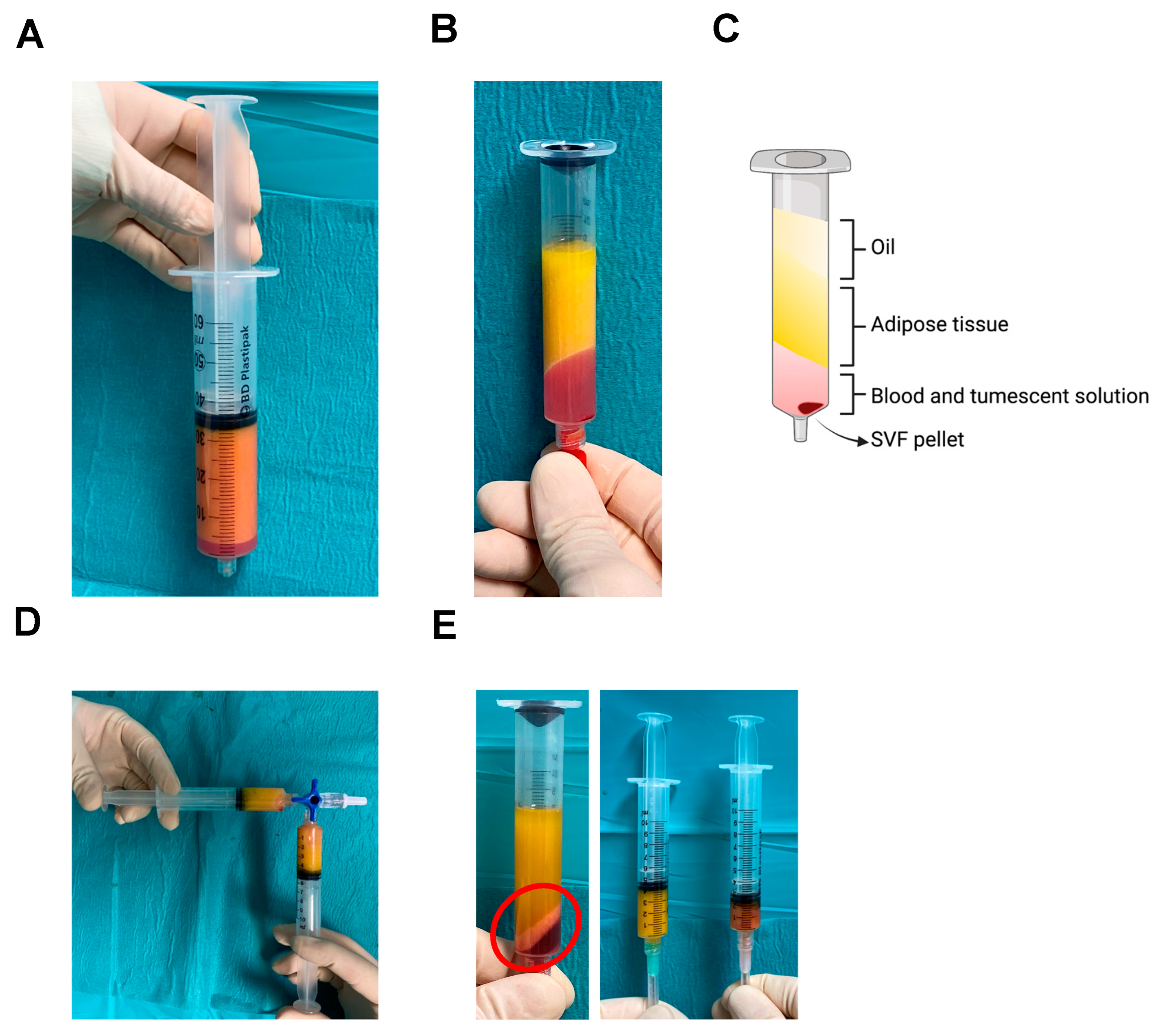 Std 12 00005 g002 Std 12 00005 g002
