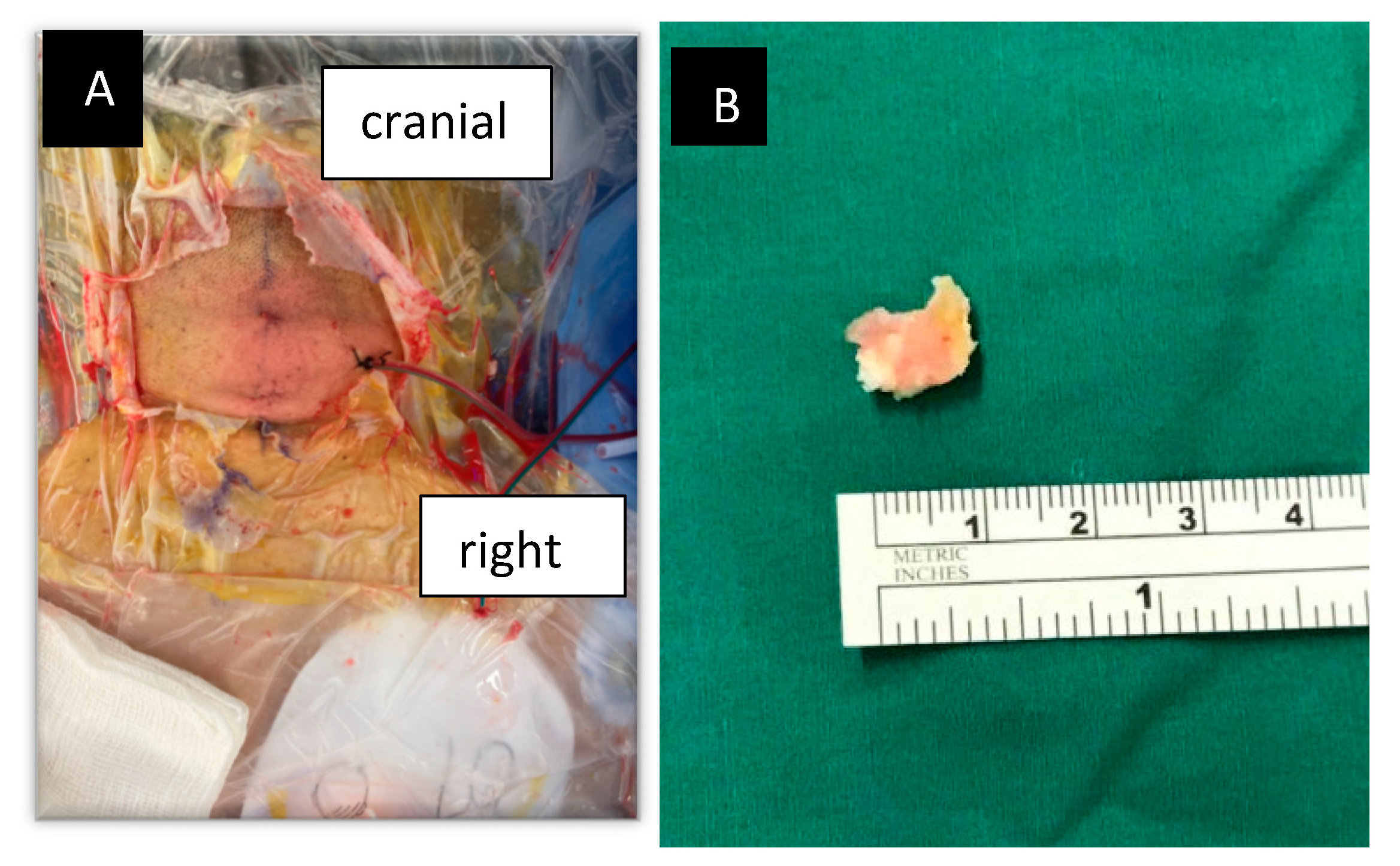 Std 12 00007 g005 Std 12 00007 g005