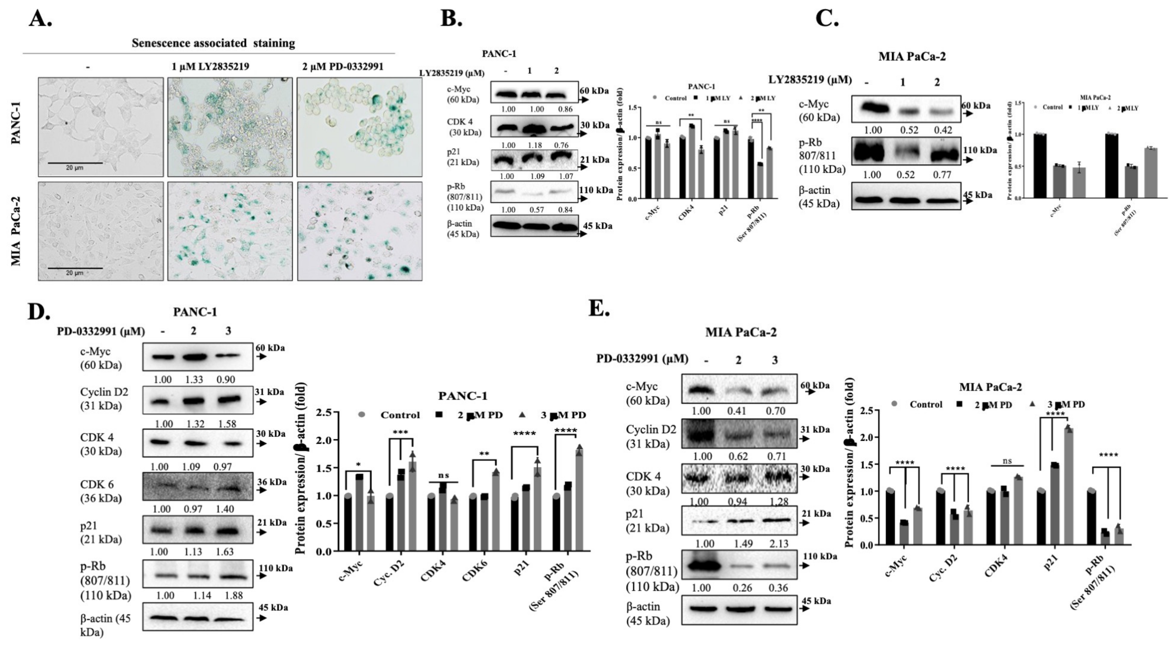 Stresses 01 00005 g003 Stresses 01 00005 g003