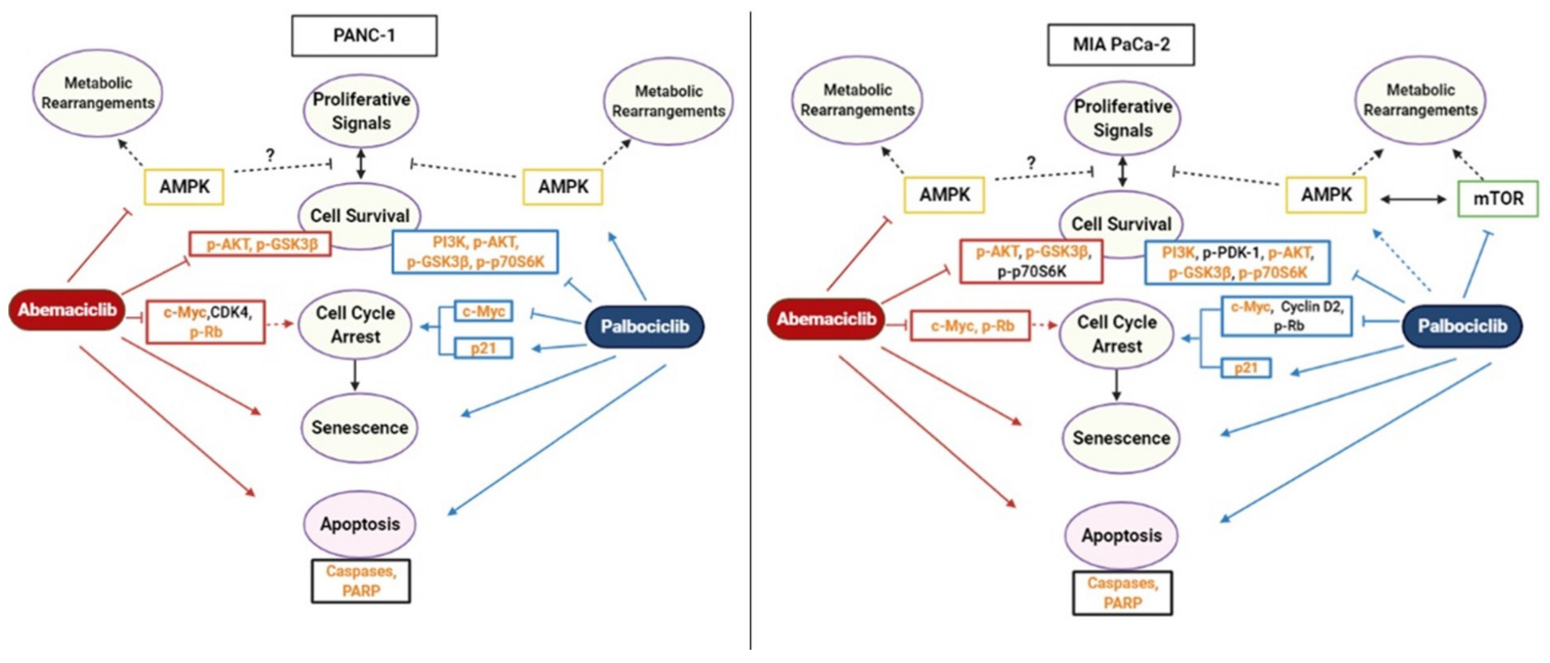 Stresses 01 00005 g006 Stresses 01 00005 g006