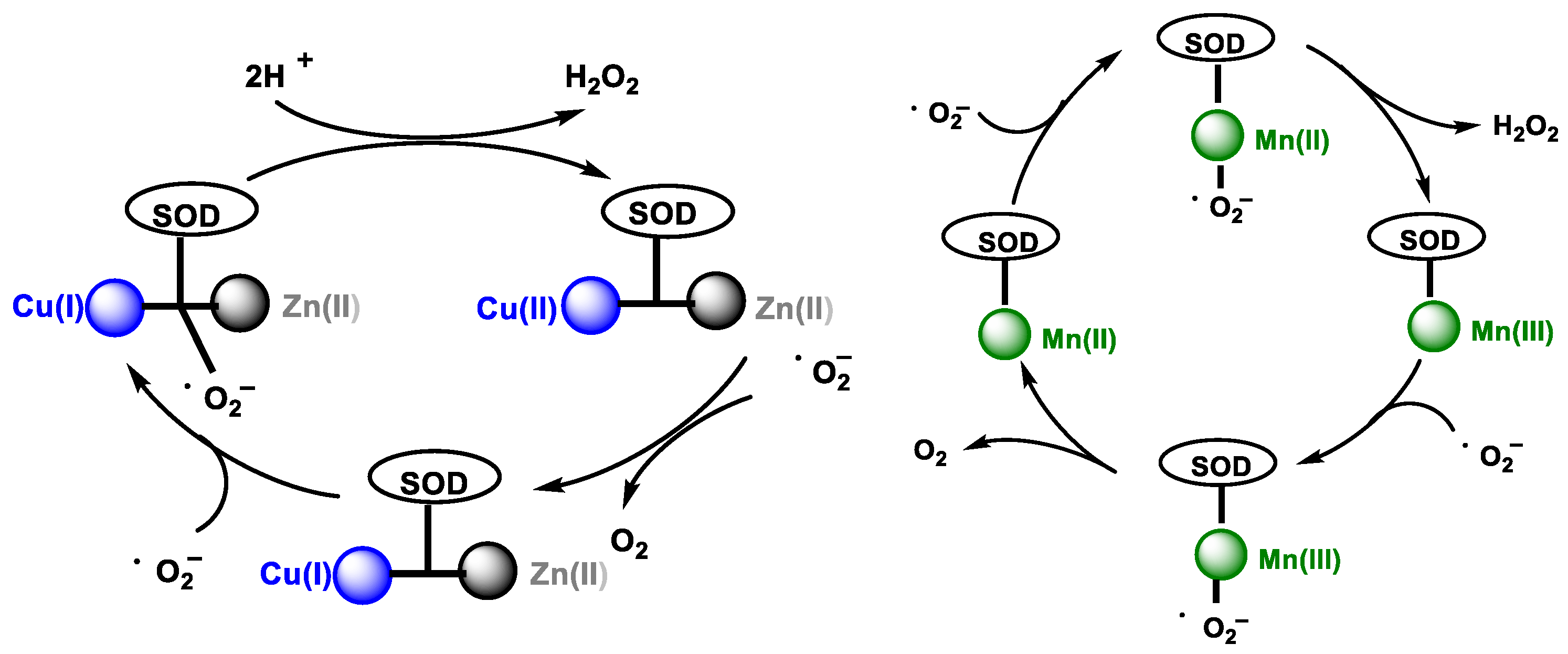 h20 zu h2o2 Mechanismus