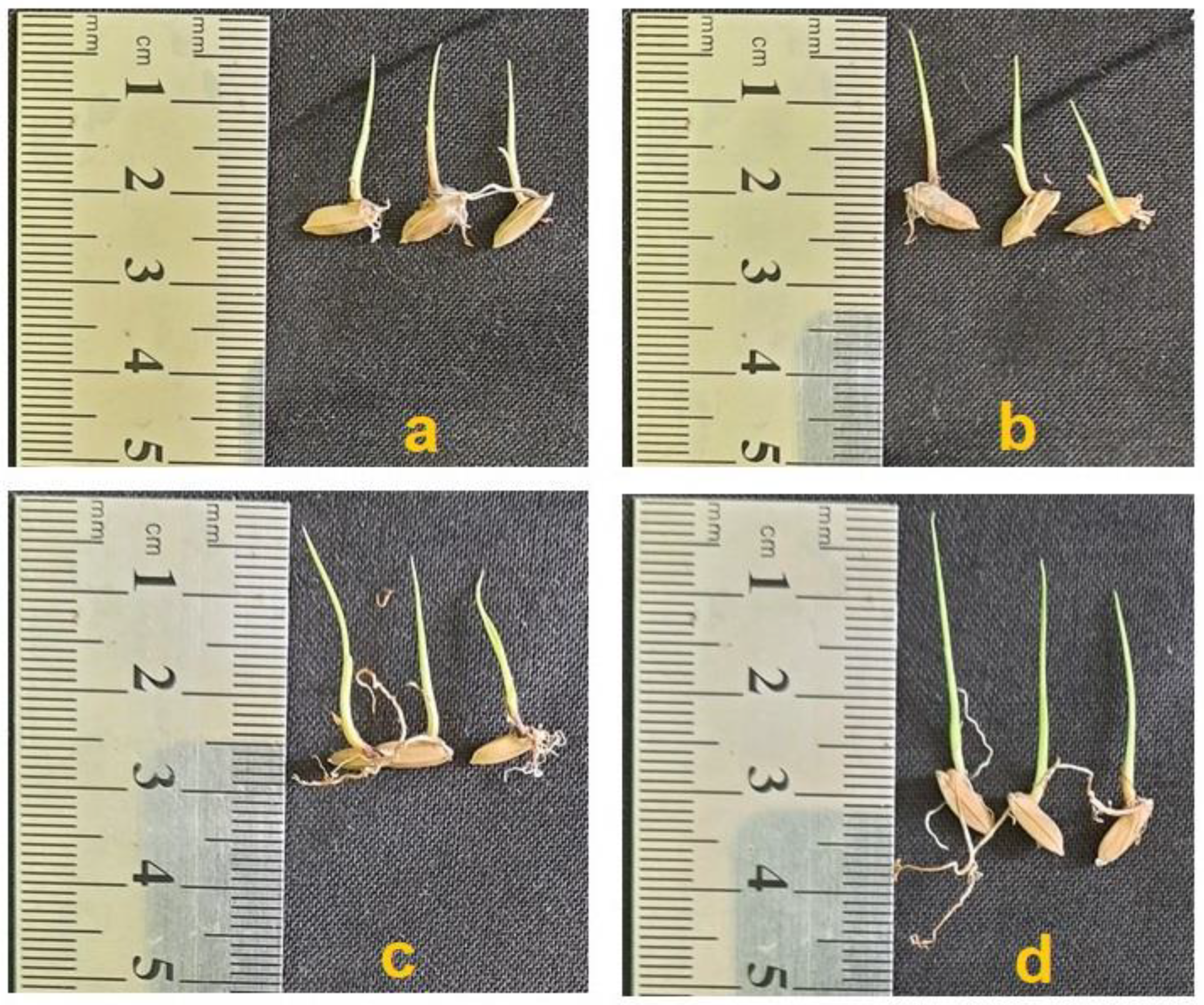 Stresses 02 00020 g006