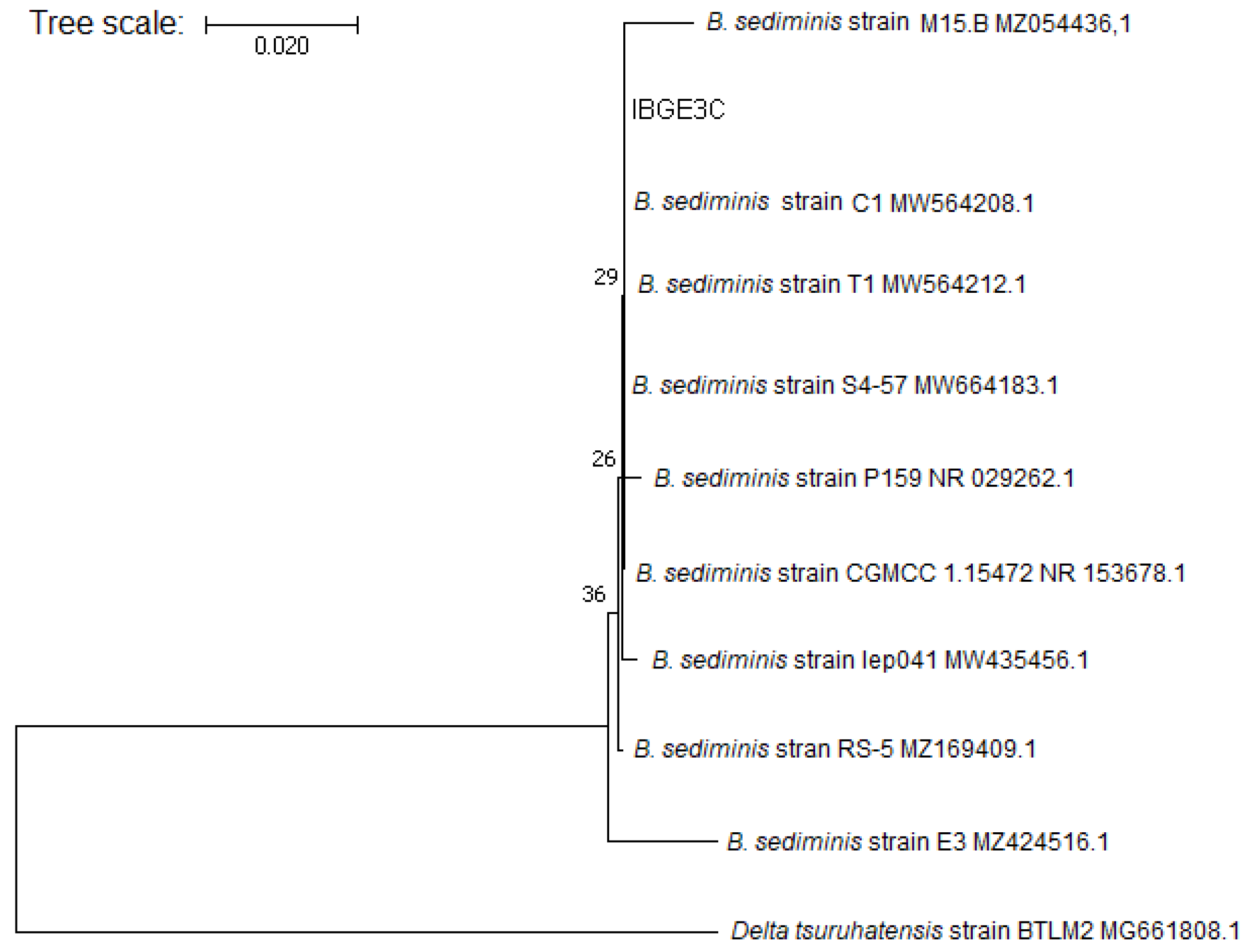 Stresses 02 00020 g008