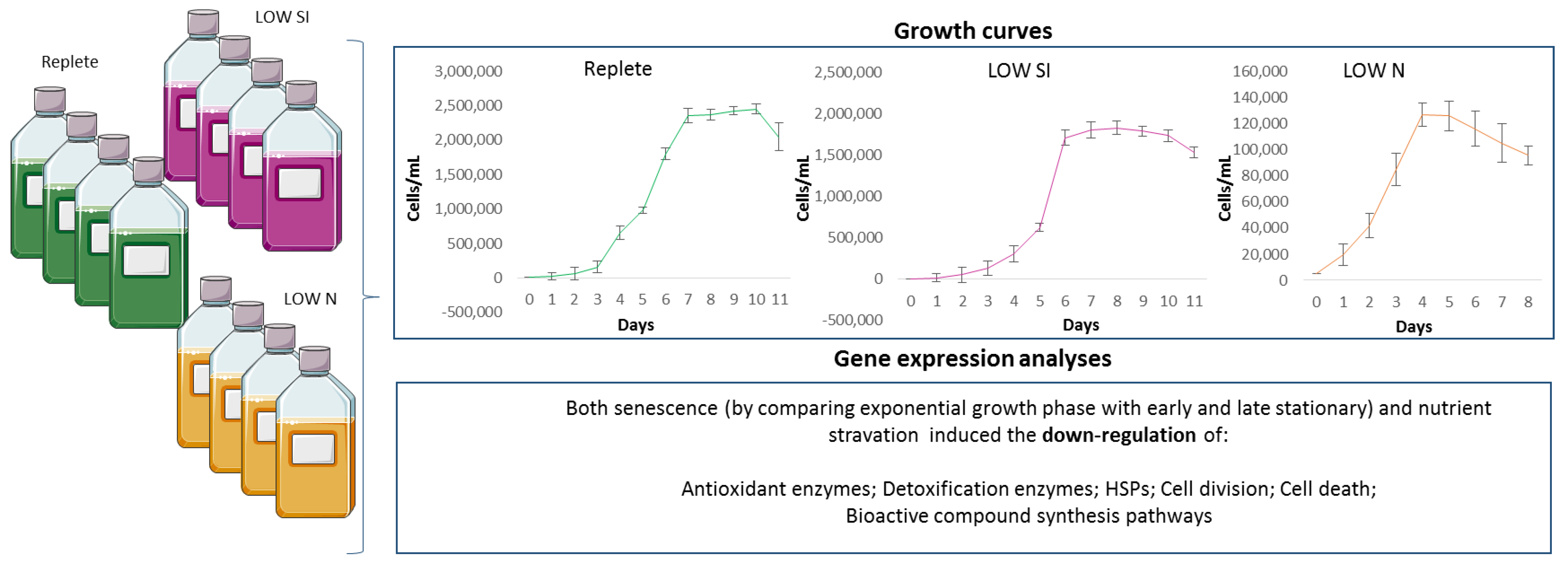 Stresses 02 00022 g005