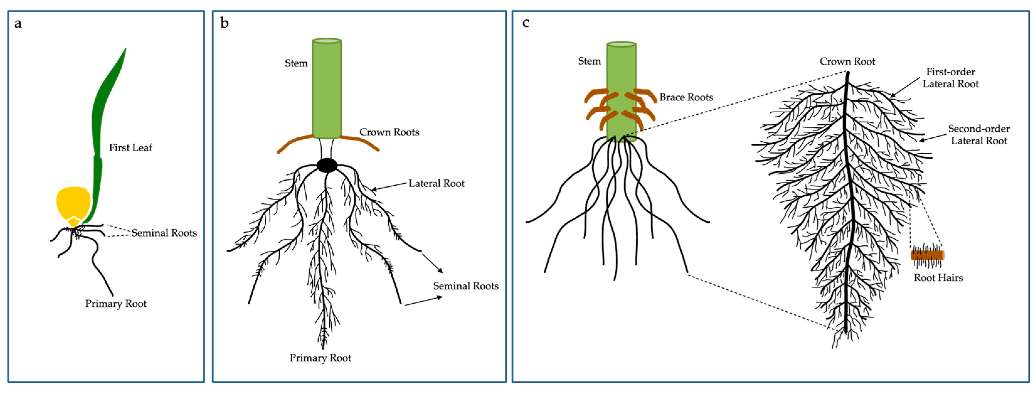 Stresses 03 00011 g002 Stresses 03 00011 g002
