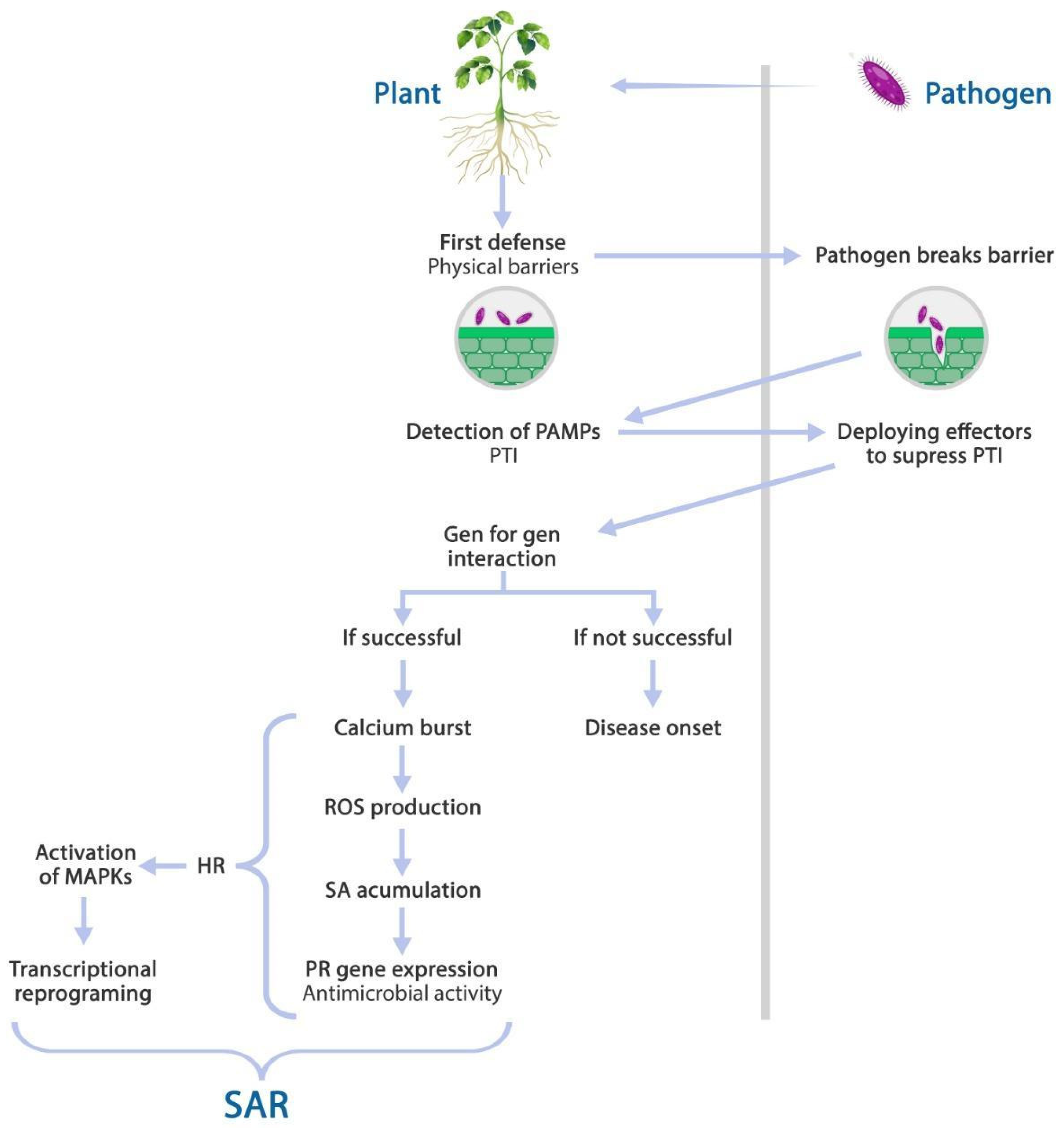 Stresses 03 00016 g002 Stresses 03 00016 g002