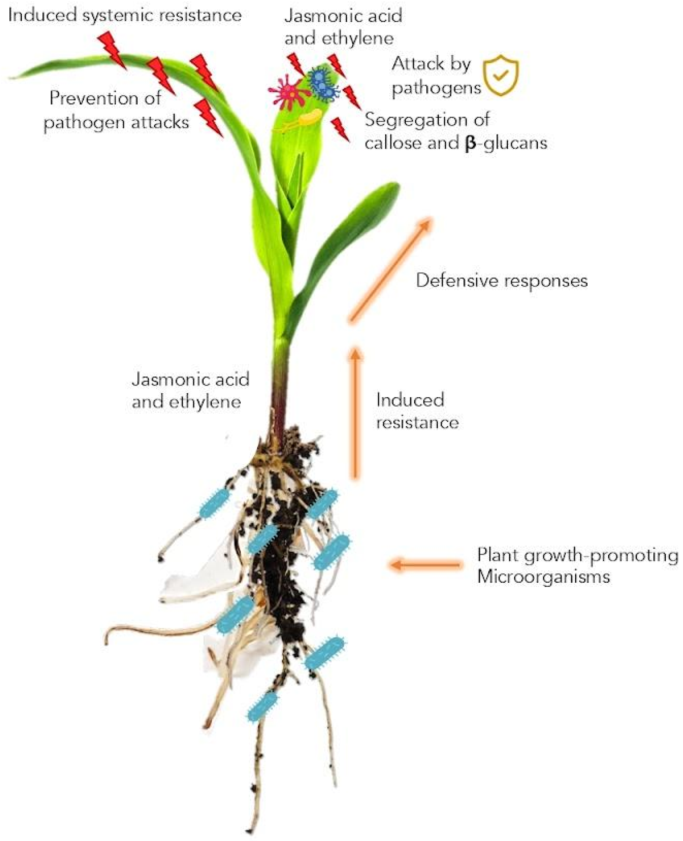 Stresses 03 00016 g003 Stresses 03 00016 g003