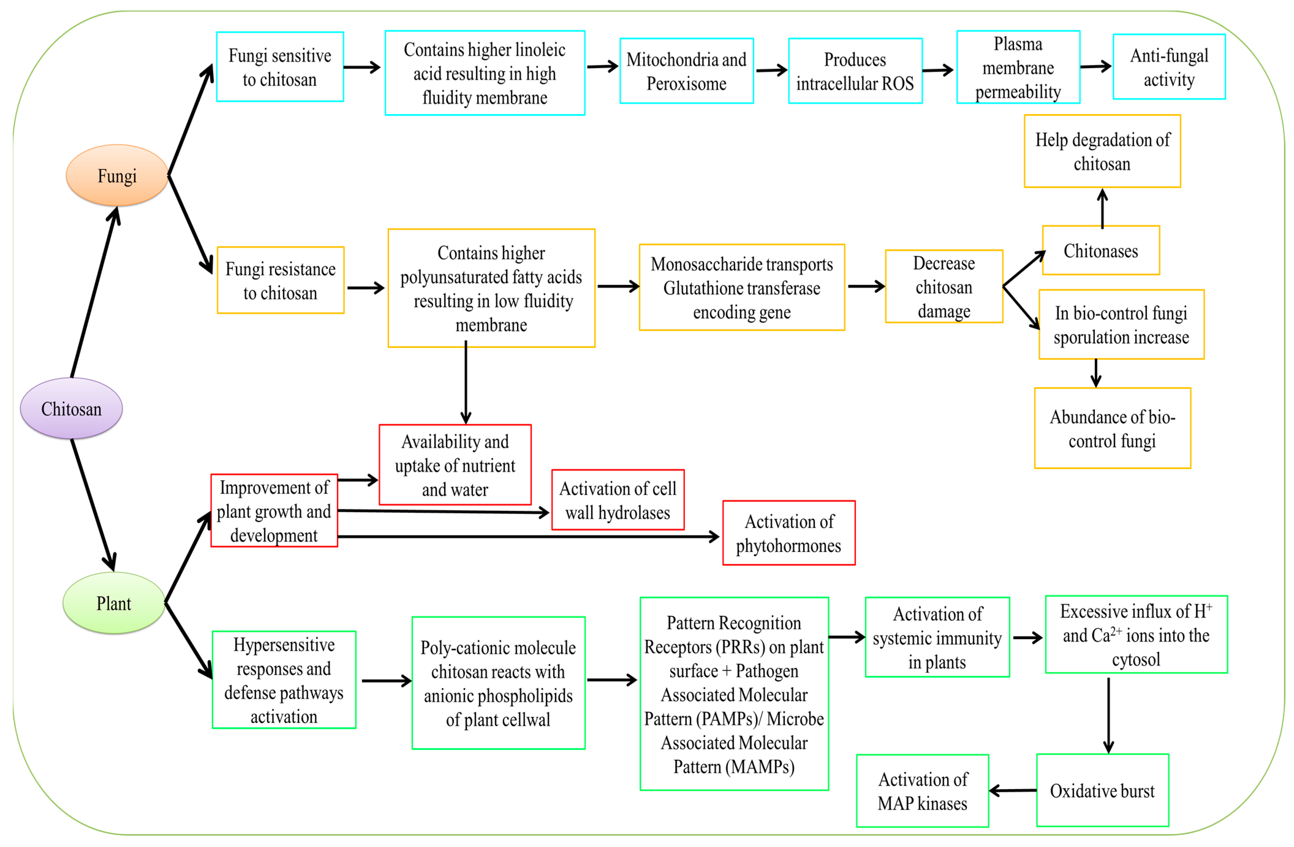 Stresses 03 00018 g004 Stresses 03 00018 g004