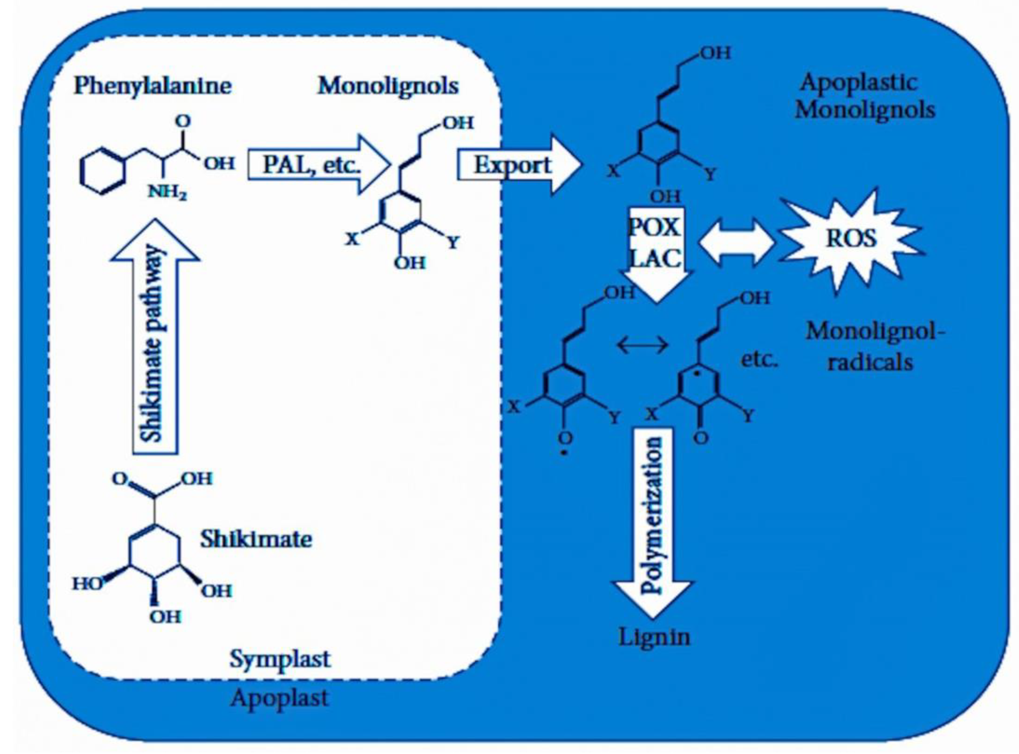 Stresses 03 00032 g003 Stresses 03 00032 g003