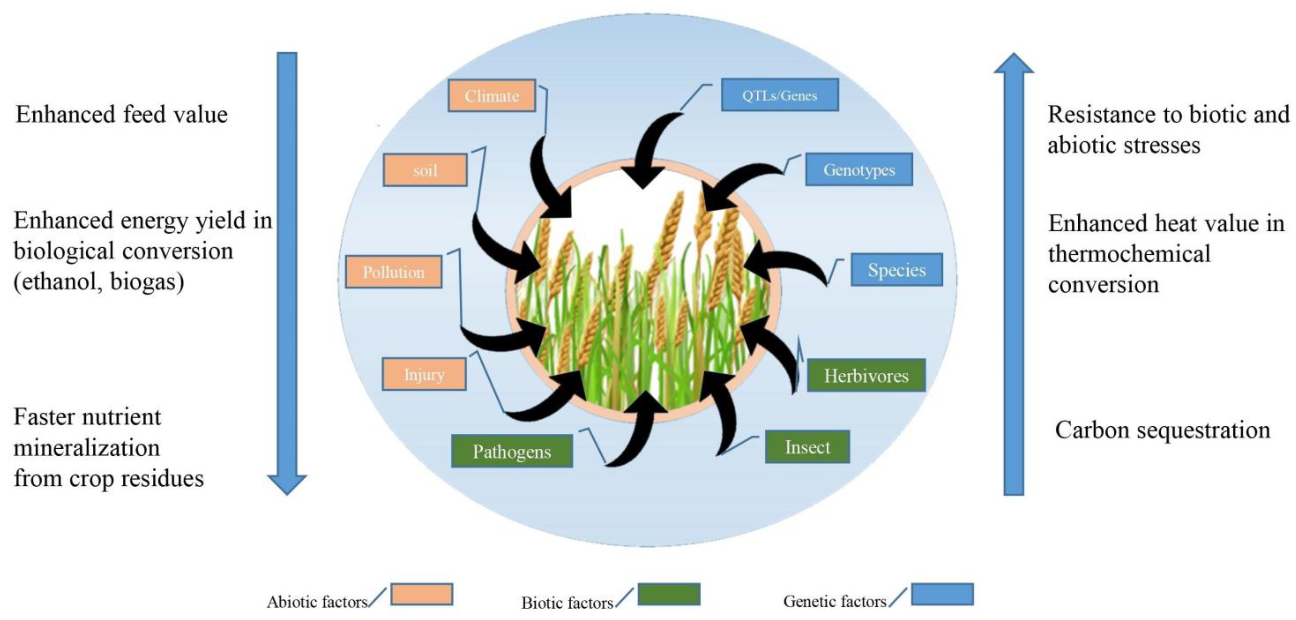 Stresses 03 00032 g004 Stresses 03 00032 g004