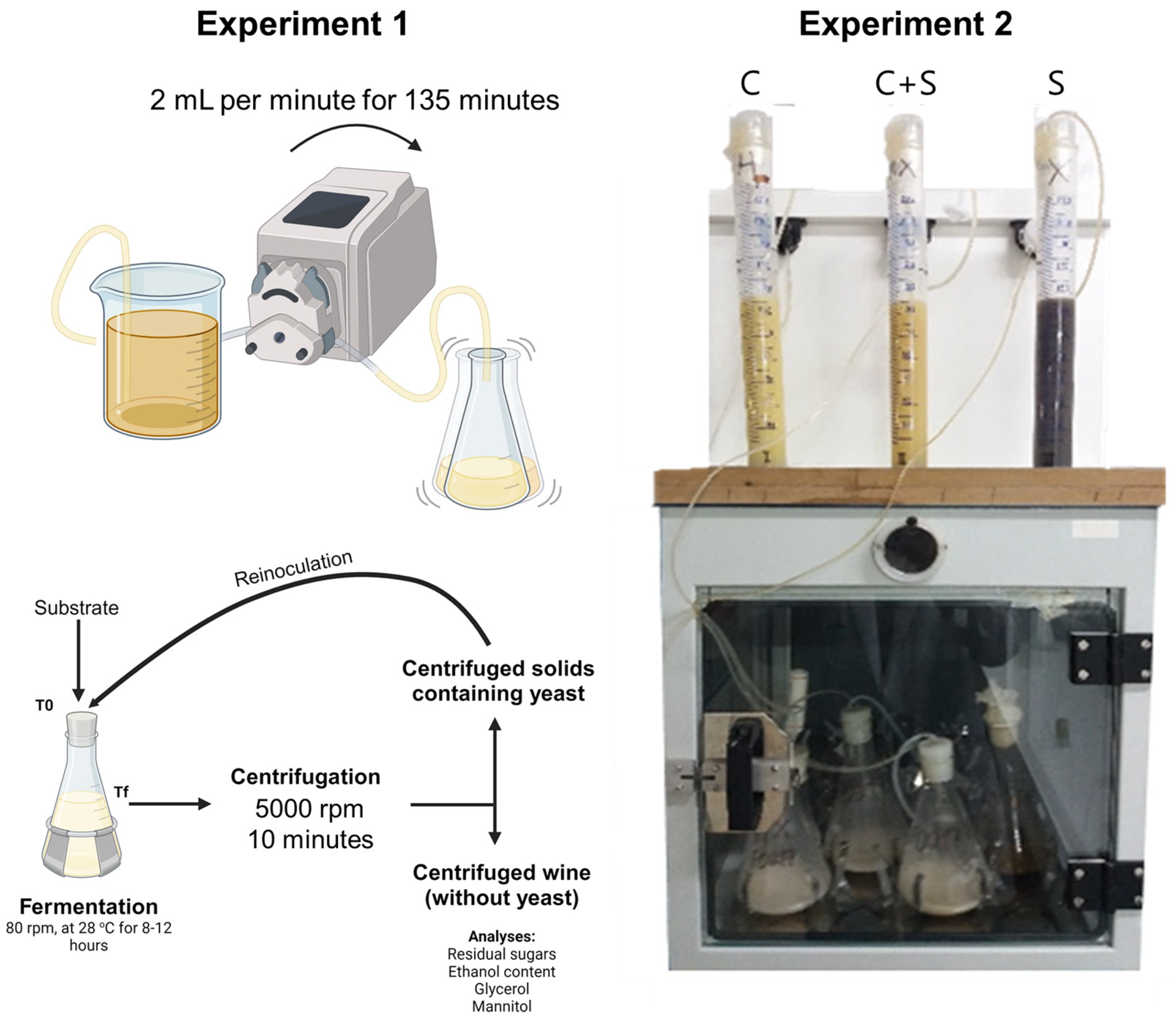Stresses 03 00055 g004 Stresses 03 00055 g004