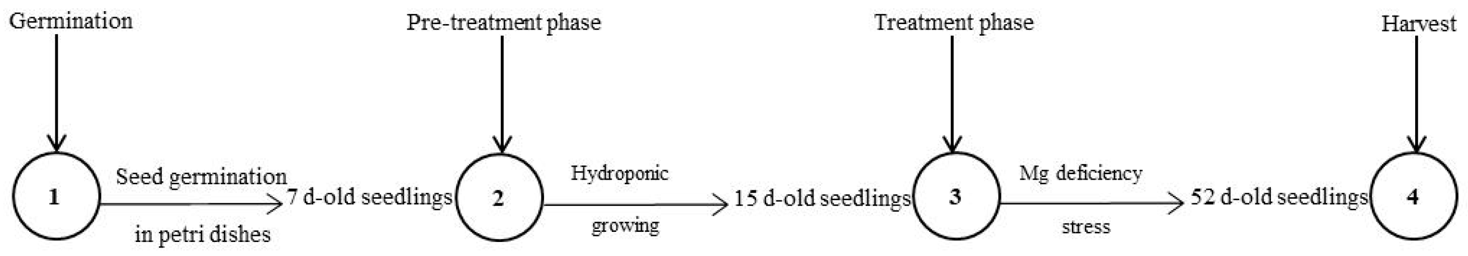 Stresses 04 00022 g006
