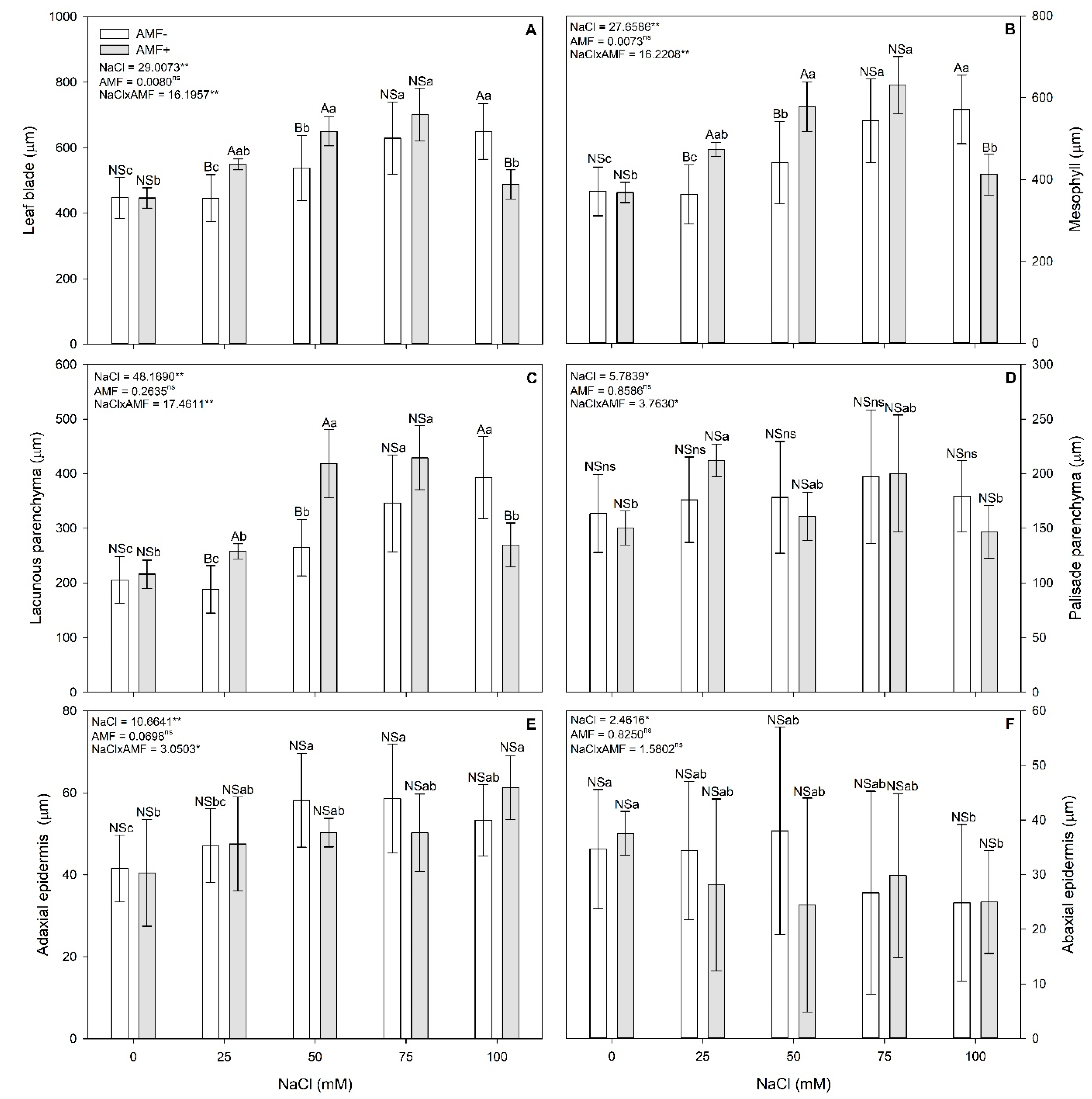 Stresses 04 00026 g005