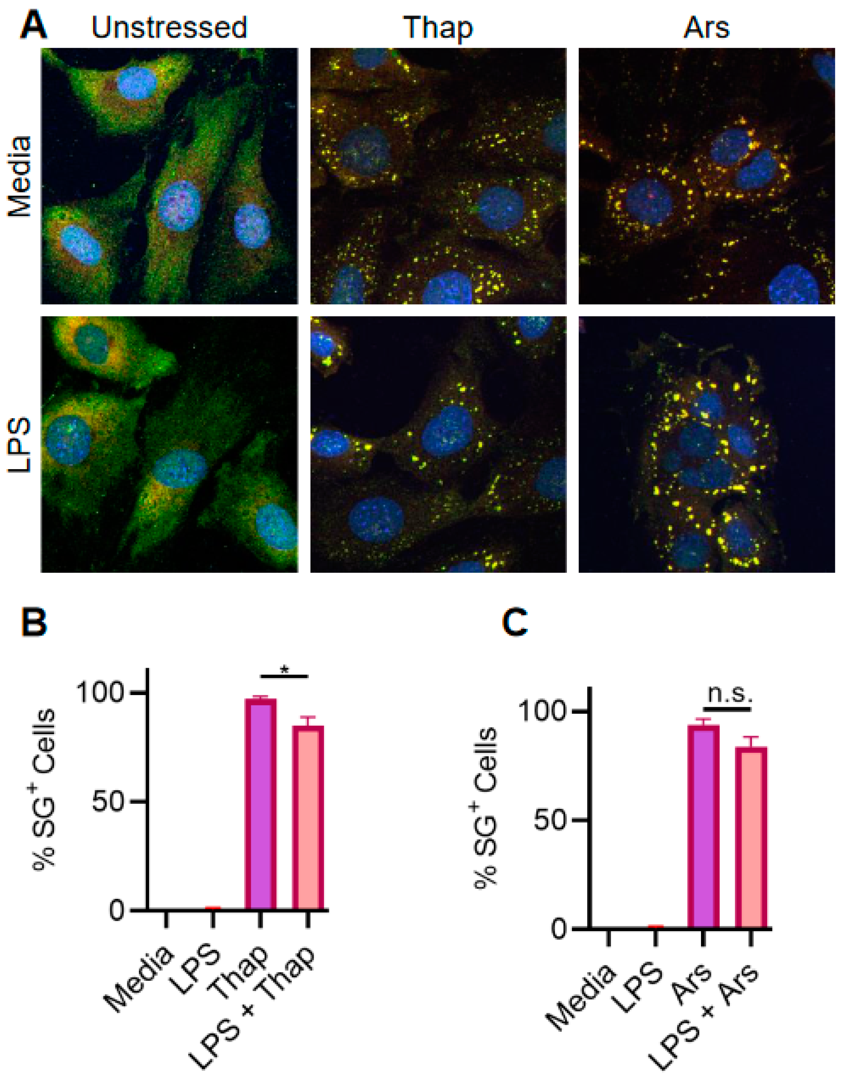 Stresses 04 00027 g003