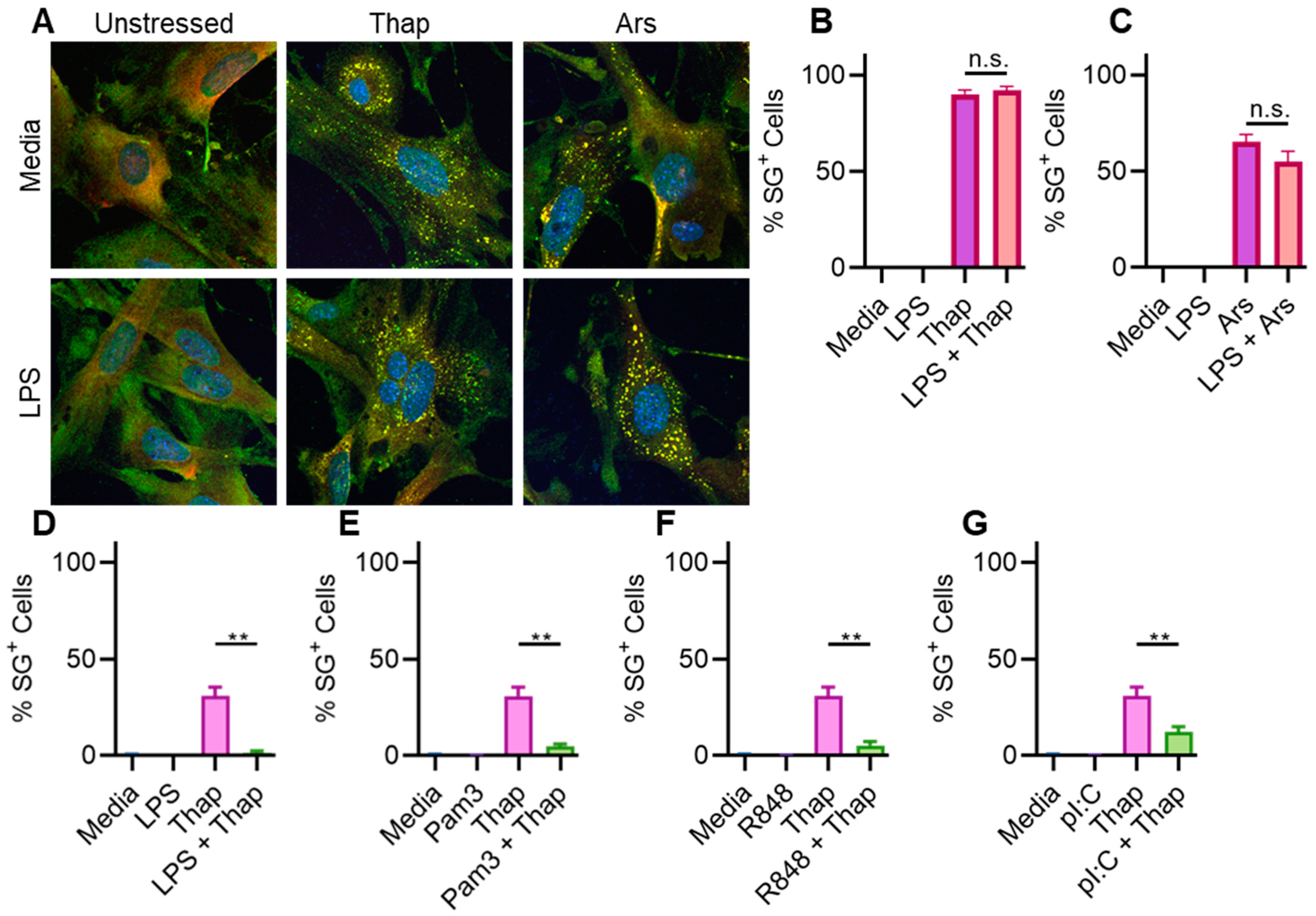 Stresses 04 00027 g004