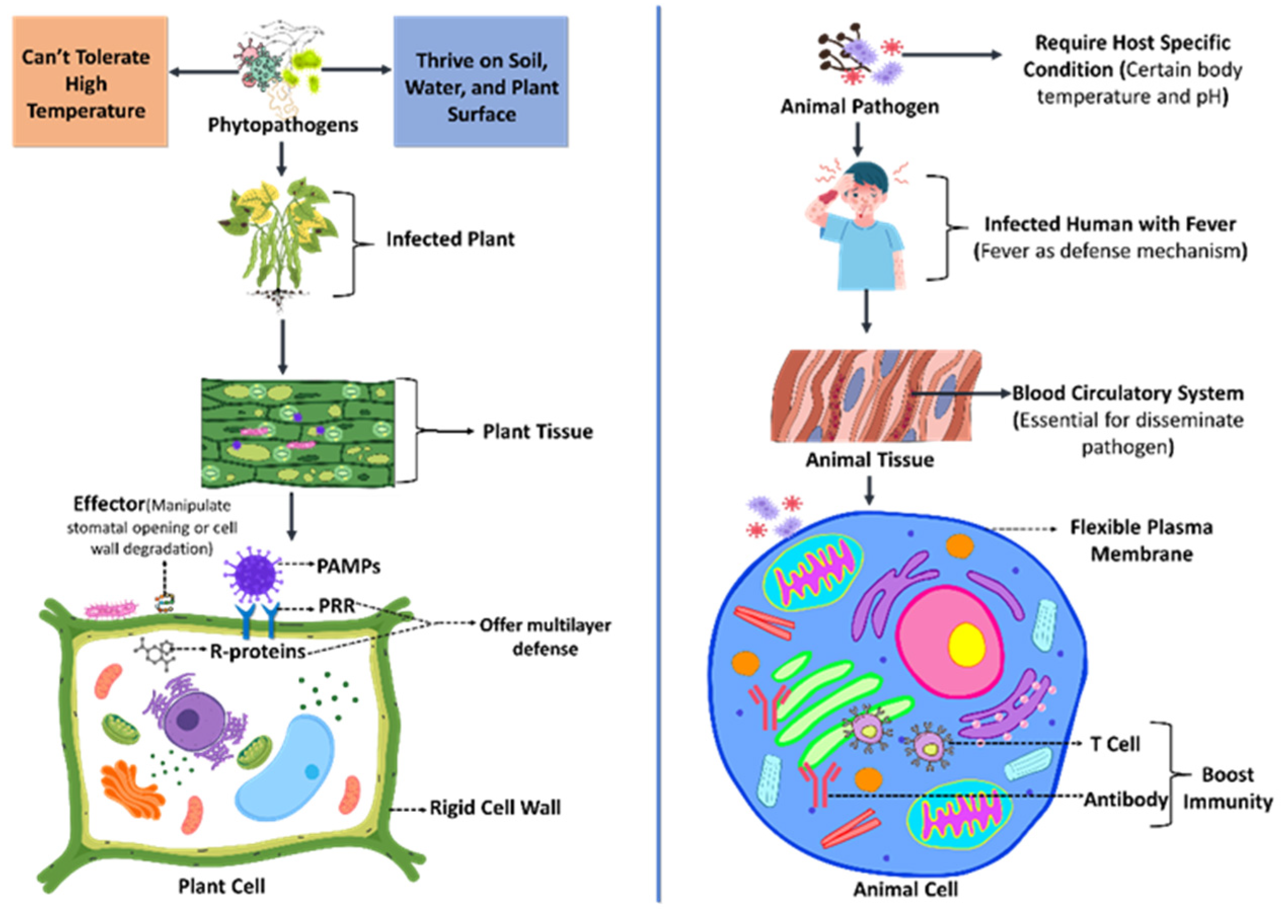 Stresses 05 00028 g001