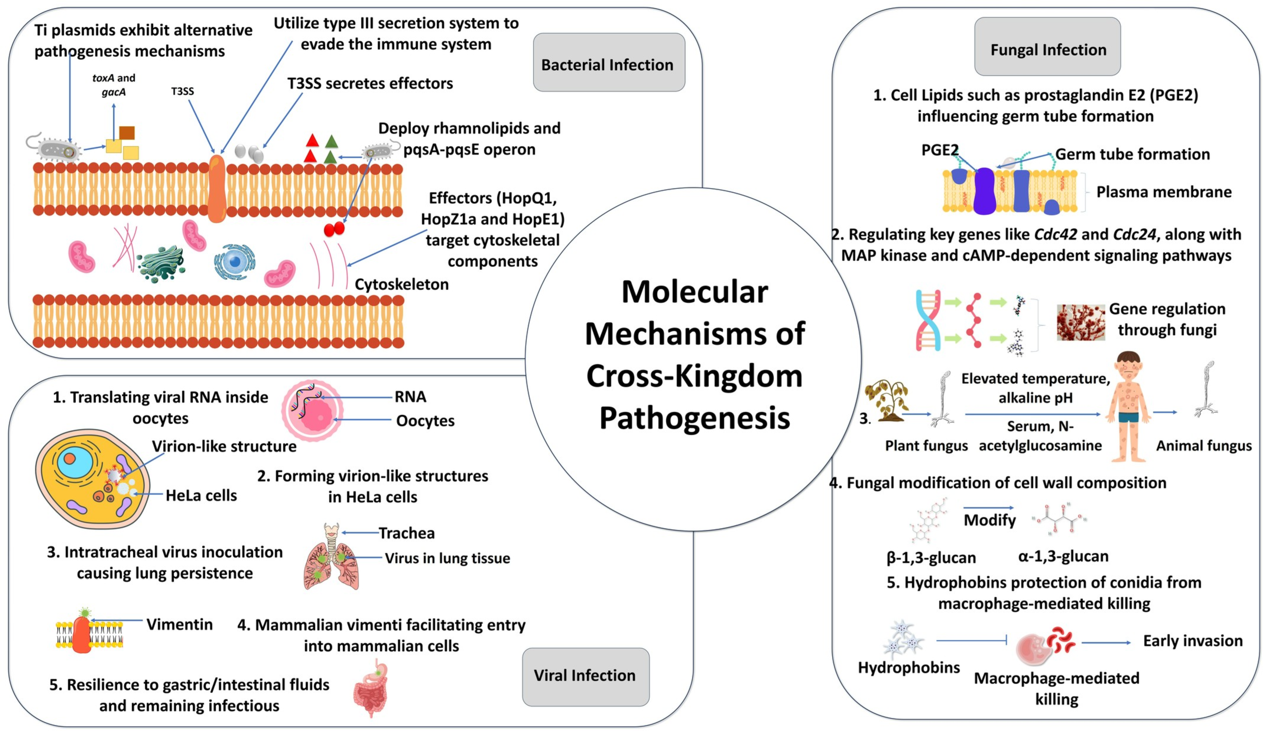Stresses 05 00028 g003