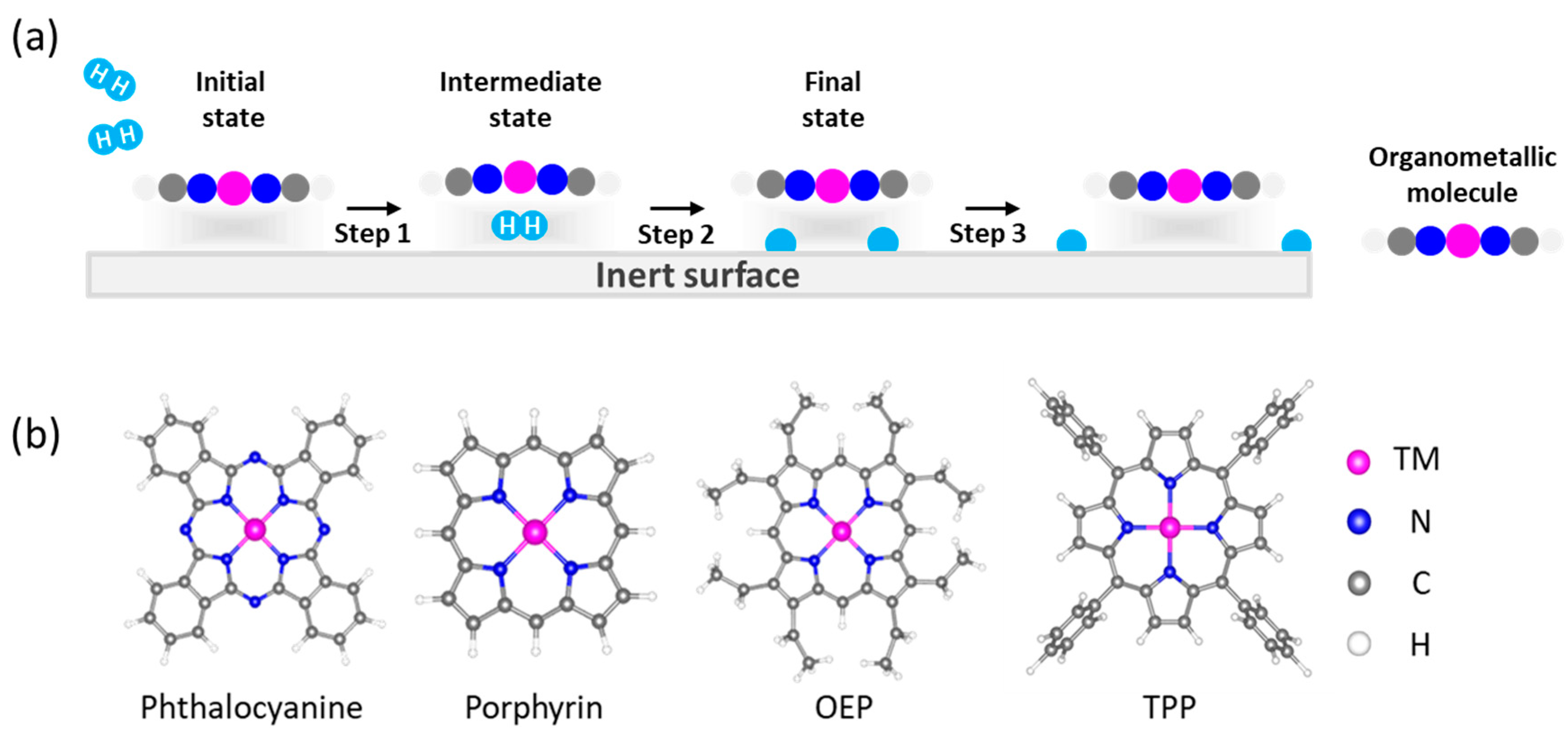 Surfaces 03 00004 g001